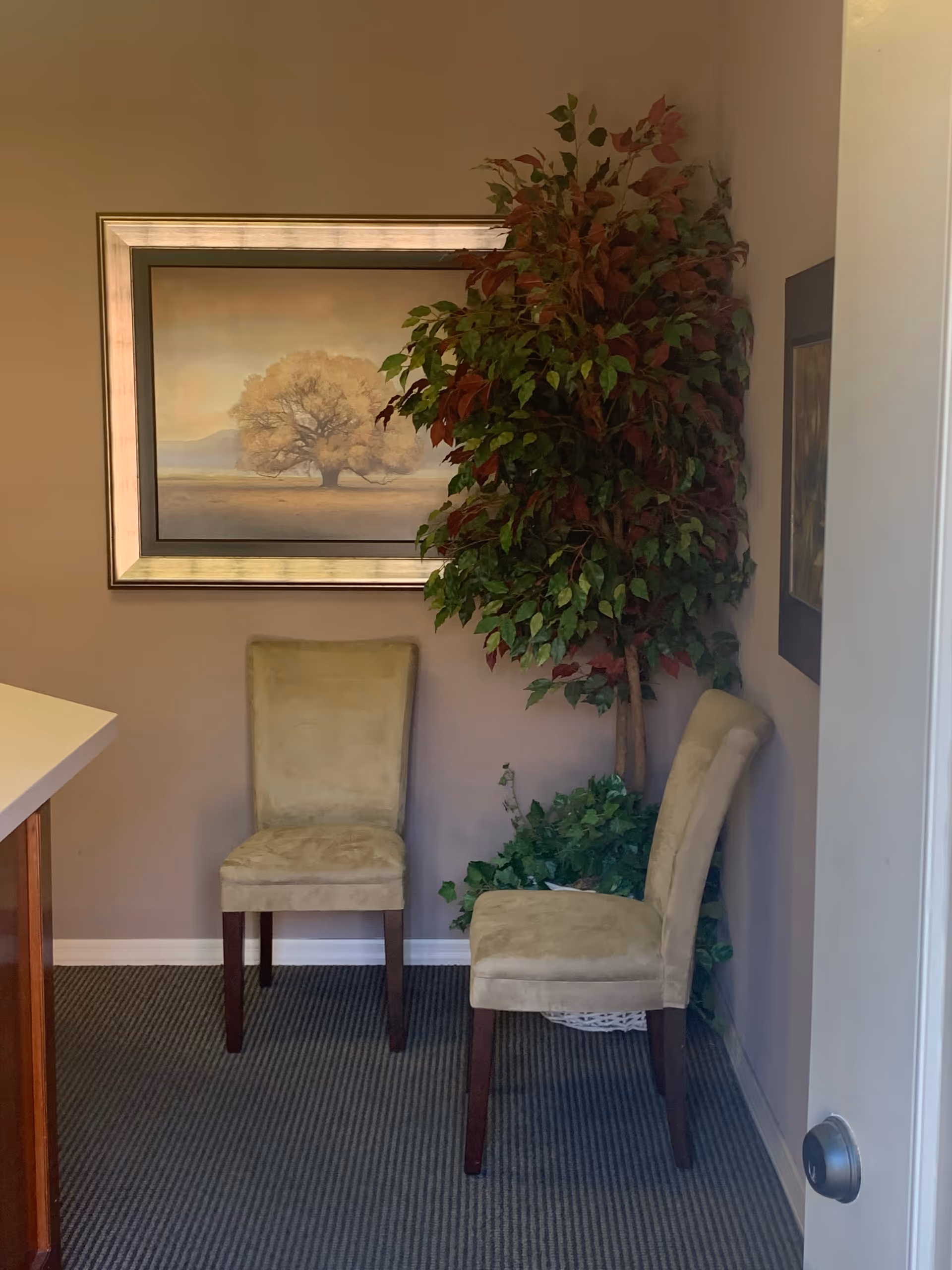 Two beige chairs beside a tall plant in a small interior corner.