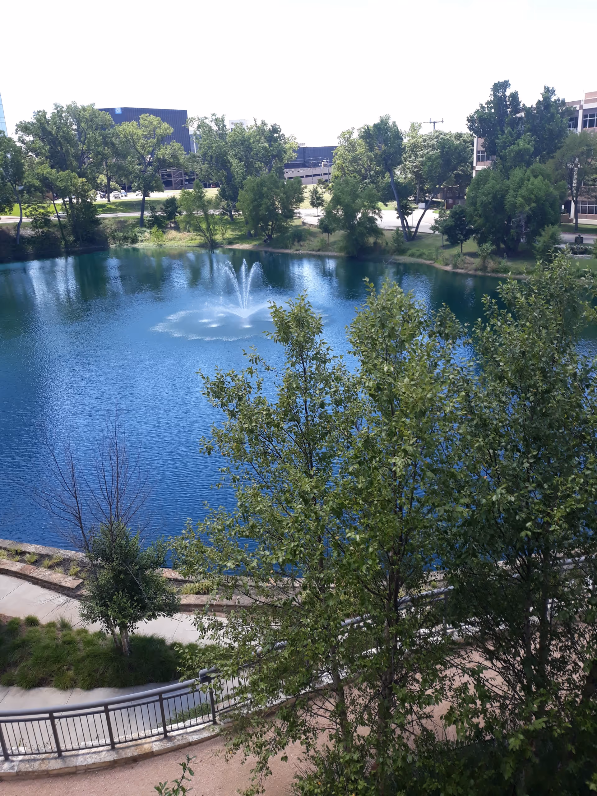 A serene pond with a fountain surrounded by trees and a walkway.