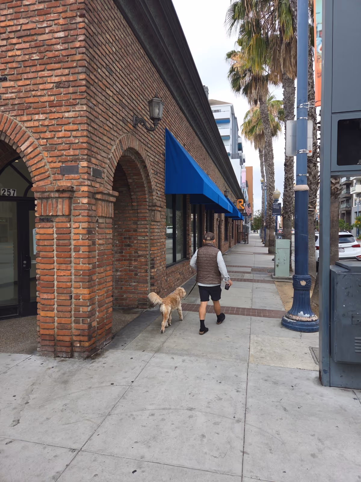 Person walks a dog along a brick storefront sidewalk with blue awnings.