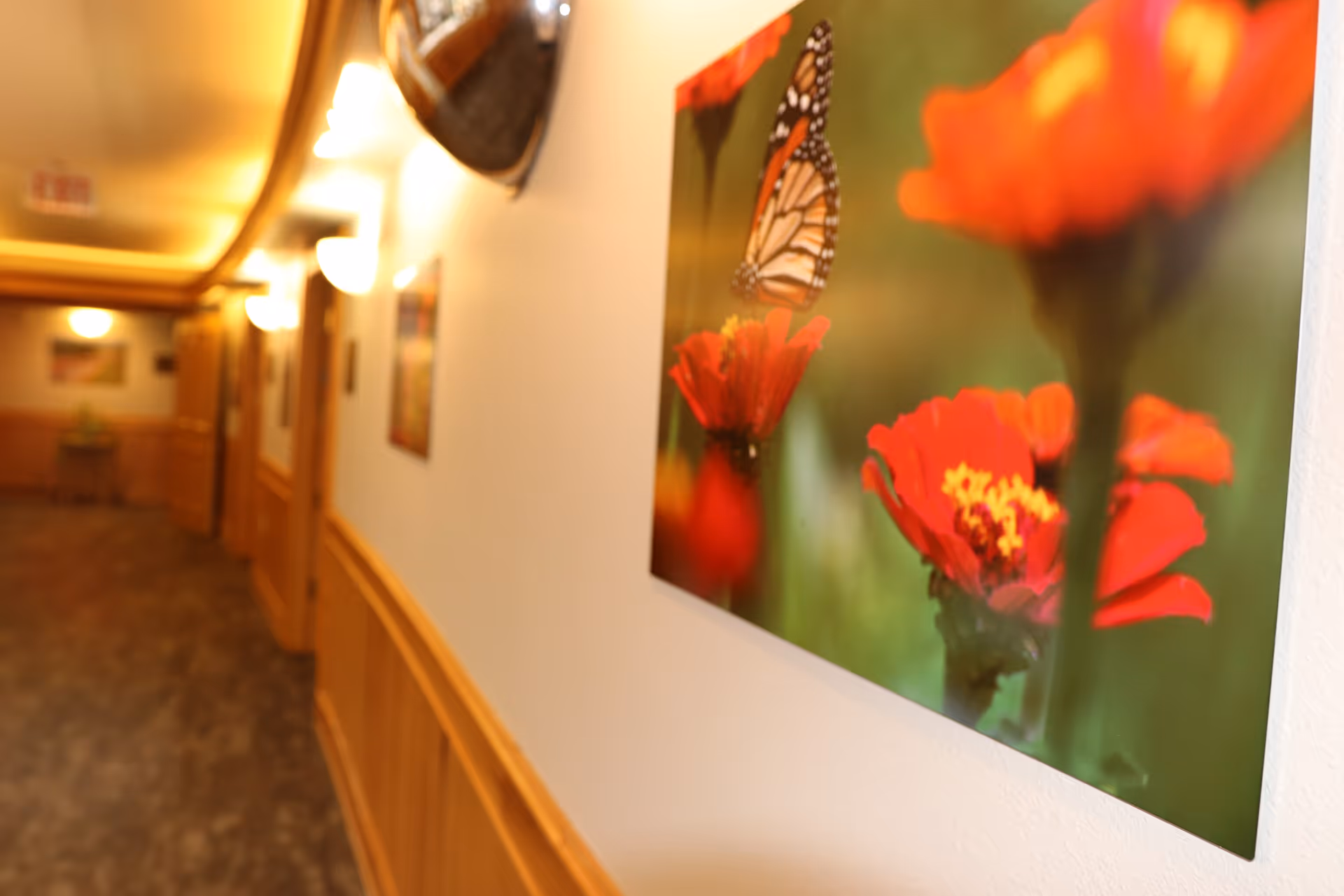Long hallway with wall art of flowers and a butterfly under warm lighting.