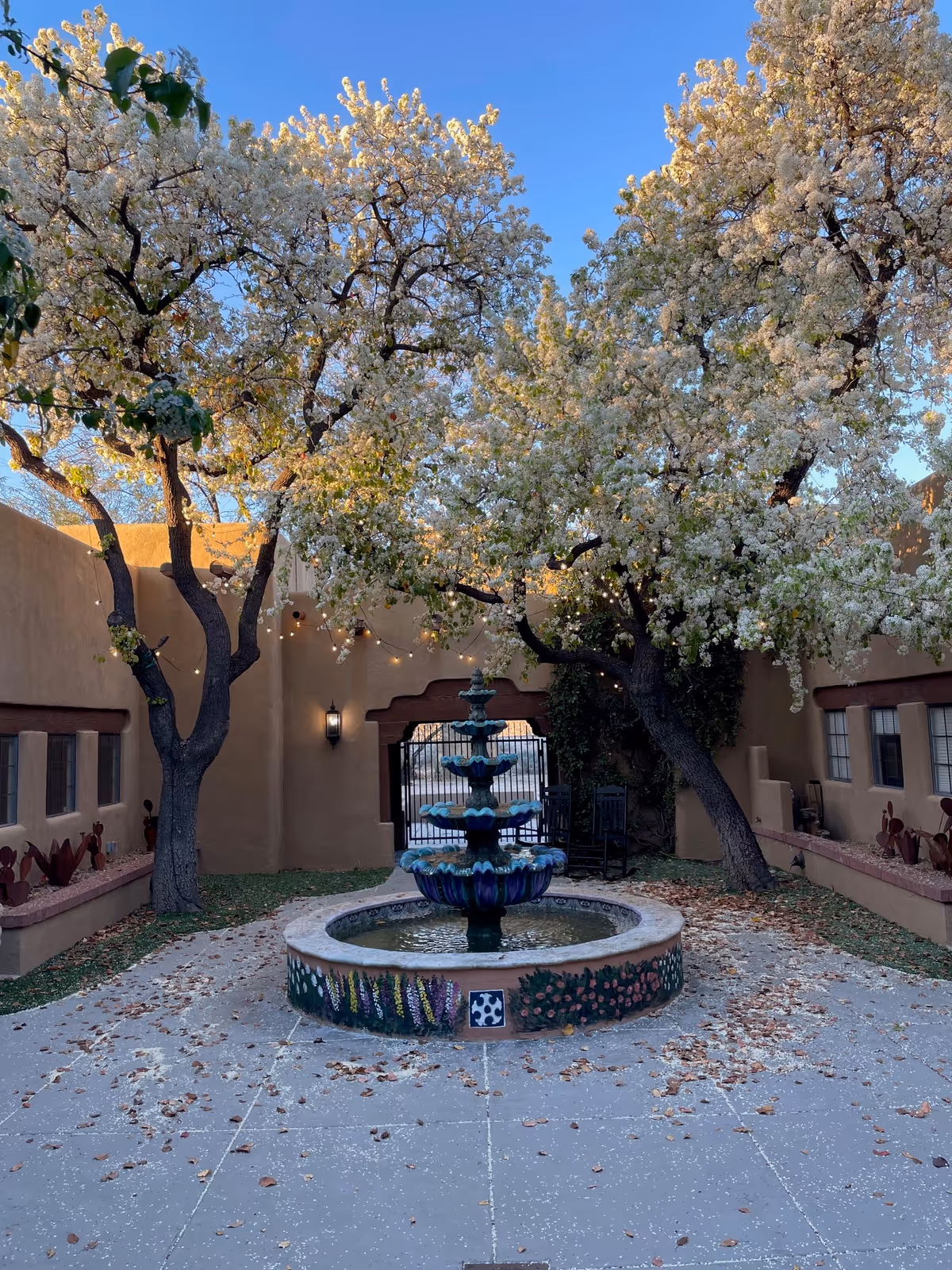 Outdoor courtyard with a tiered fountain, flowering trees, and a decorative tiled basin.