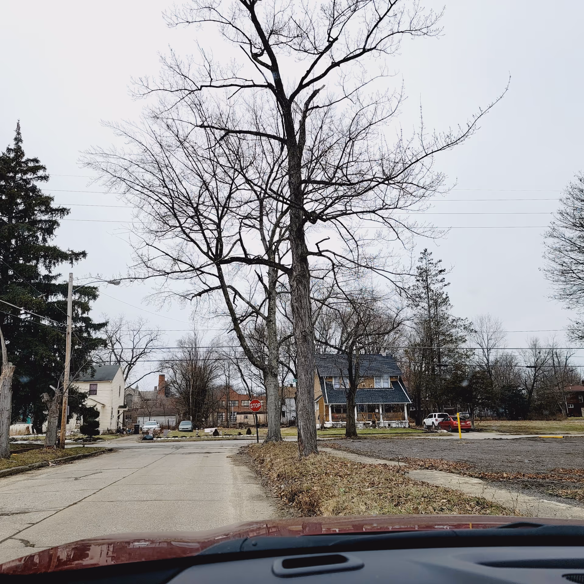 View from inside a car showing a quiet suburban street with leafless trees.