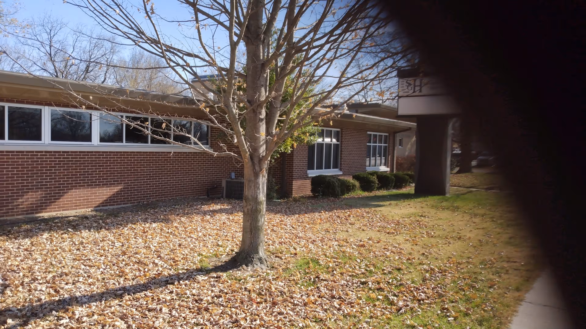 Exterior view of a brick senior facility with leaf-covered ground and a tree in the foreground.
