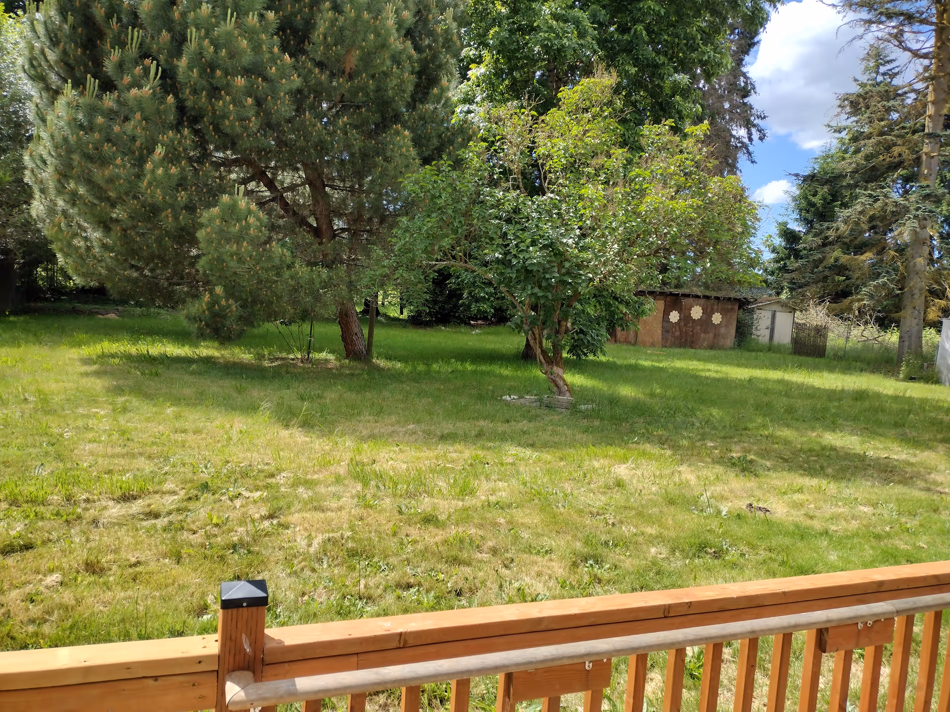 Outdoor yard with trees, grass, and a wooden deck railing in foreground.