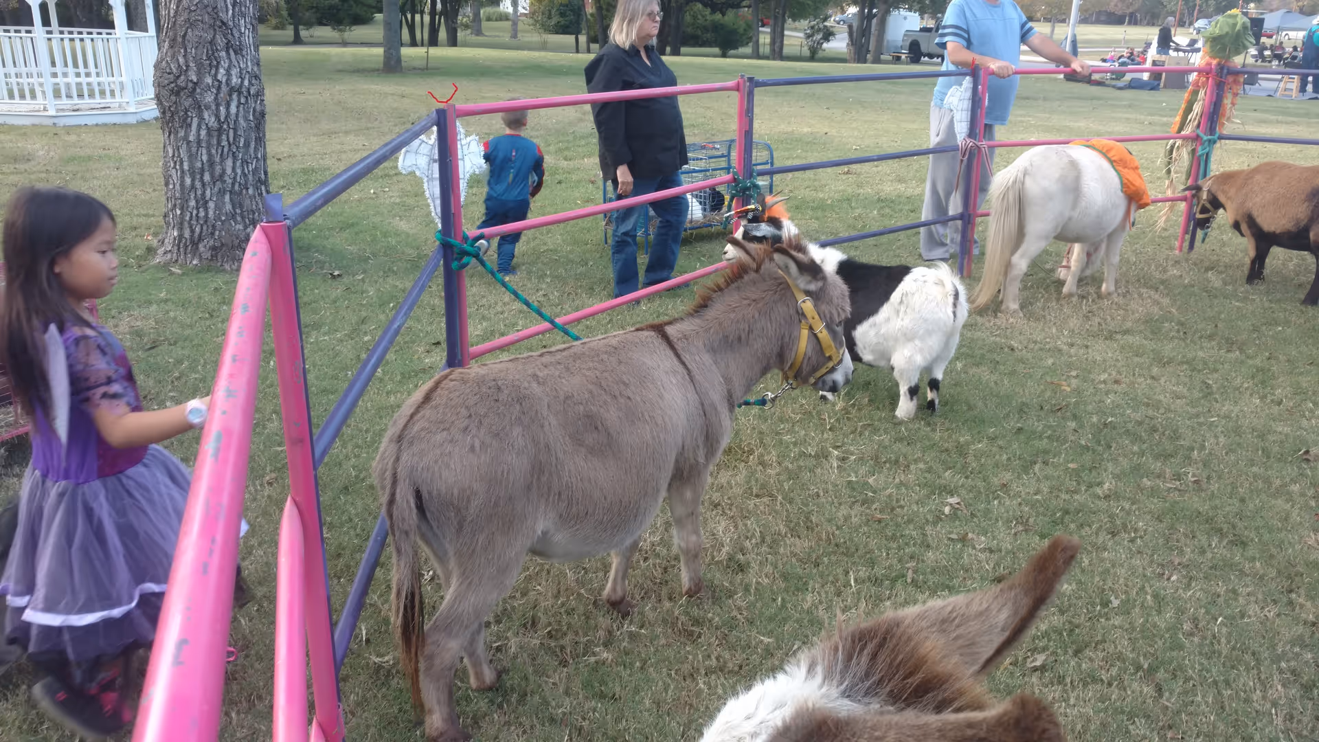 Several people and children observe ponies behind a colorful fence in a park.