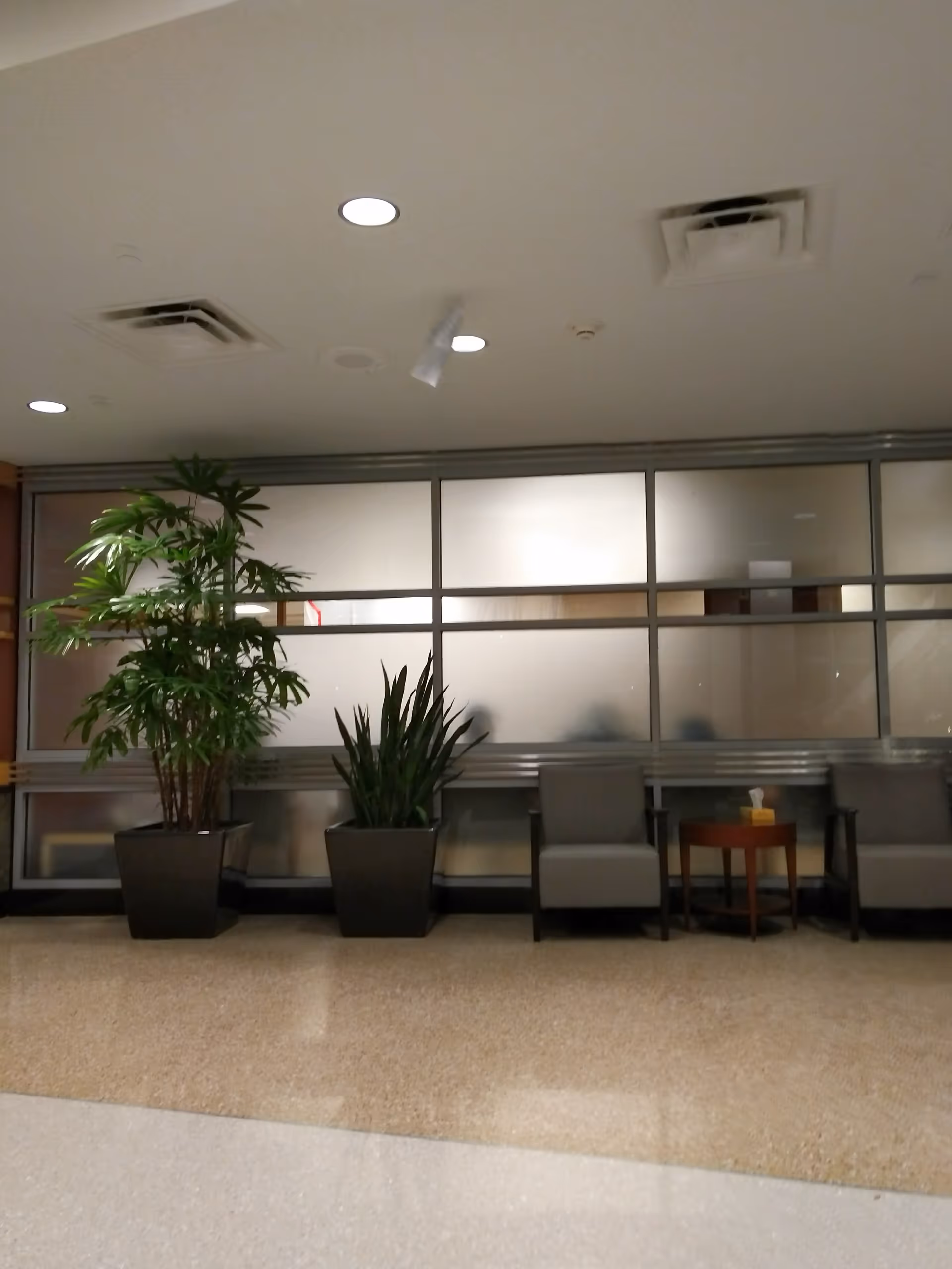Waiting area with chairs and potted plants beside frosted glass panels in a hospital lobby.