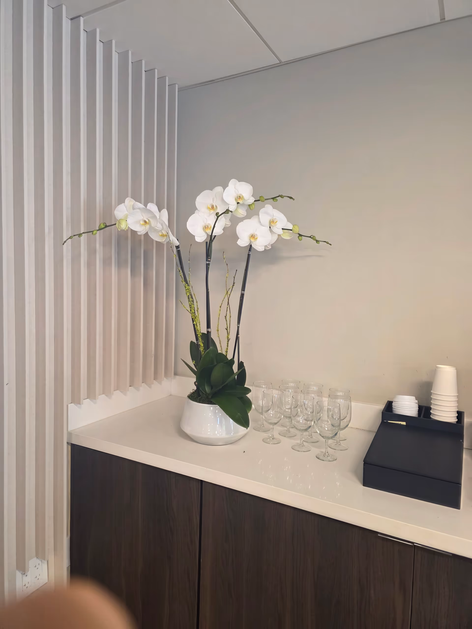 White orchid centerpiece with glassware and cups on a clean countertop.