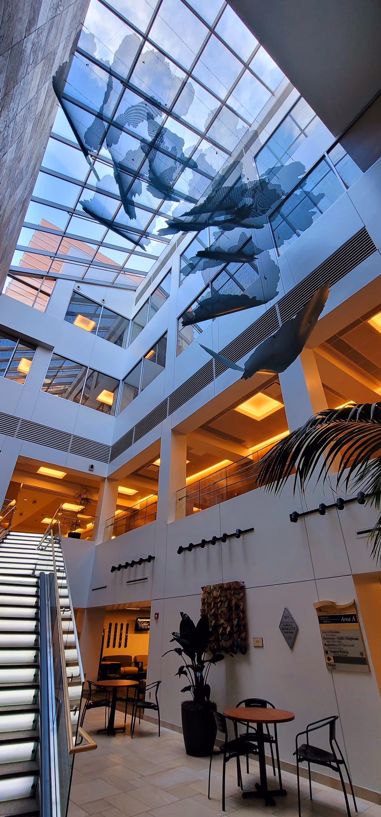 Atrium interior with glass skylight, escalator, seating, and potted plants.