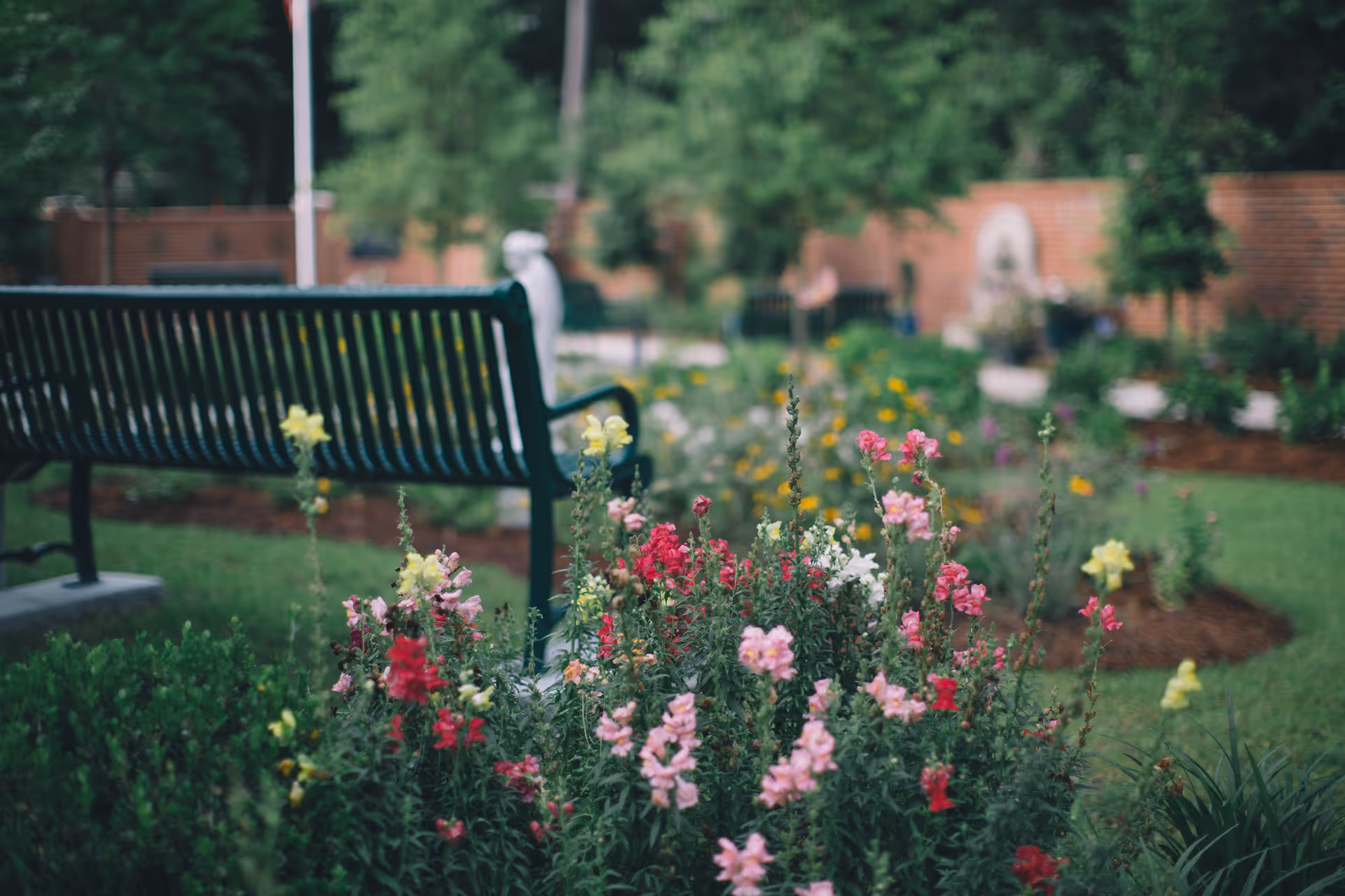 A serene outdoor garden with a black bench among colorful blooming flowers.