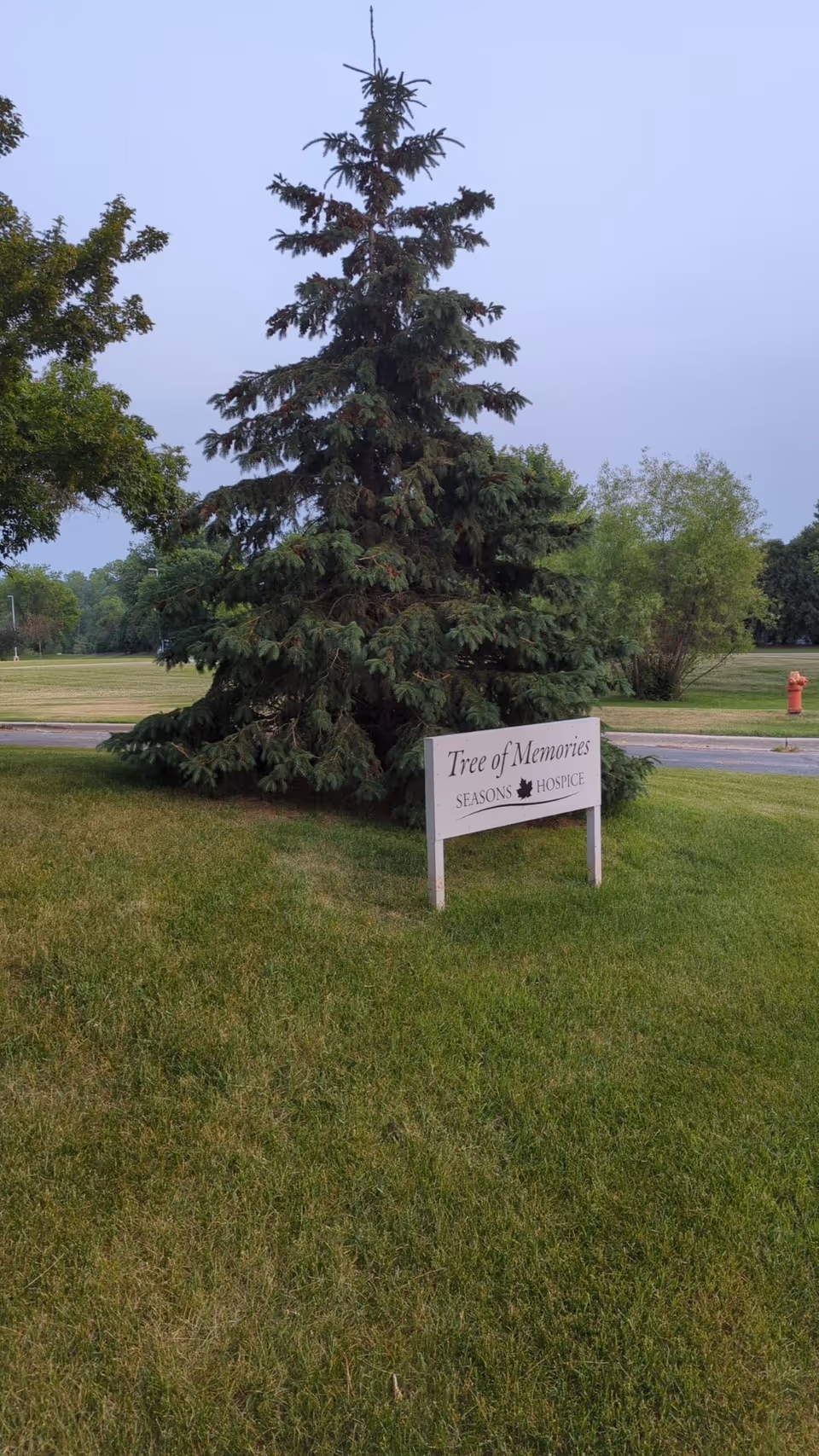 Tall evergreen tree beside a lawn sign reading Tree of Memories, Seasons Hospice, outdoors.
