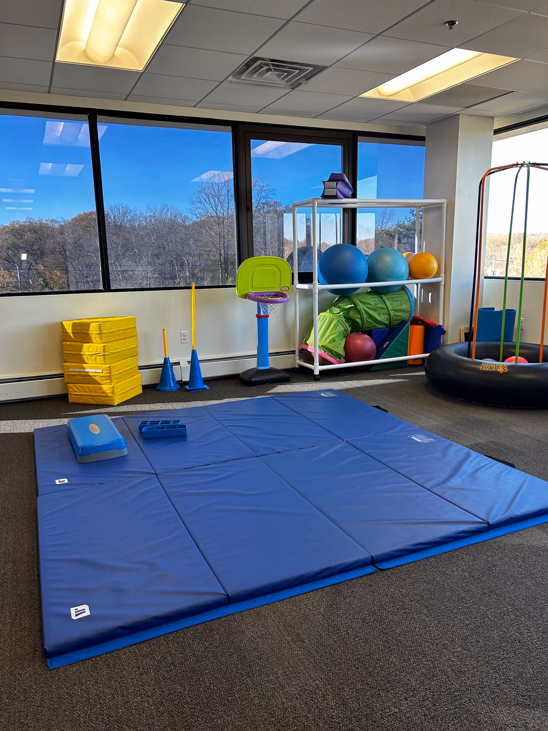 Indoor sensory gym with blue padded mats, balls, cones, and gym equipment near windows.