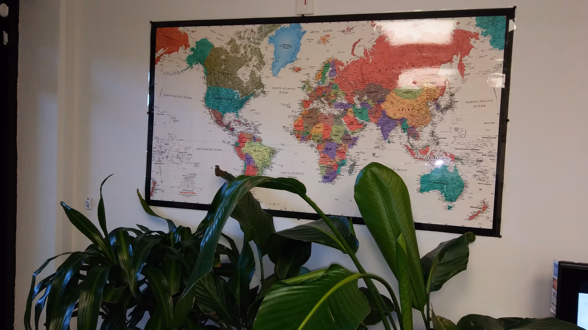 Indoor wall with a large world map poster and several potted plants.