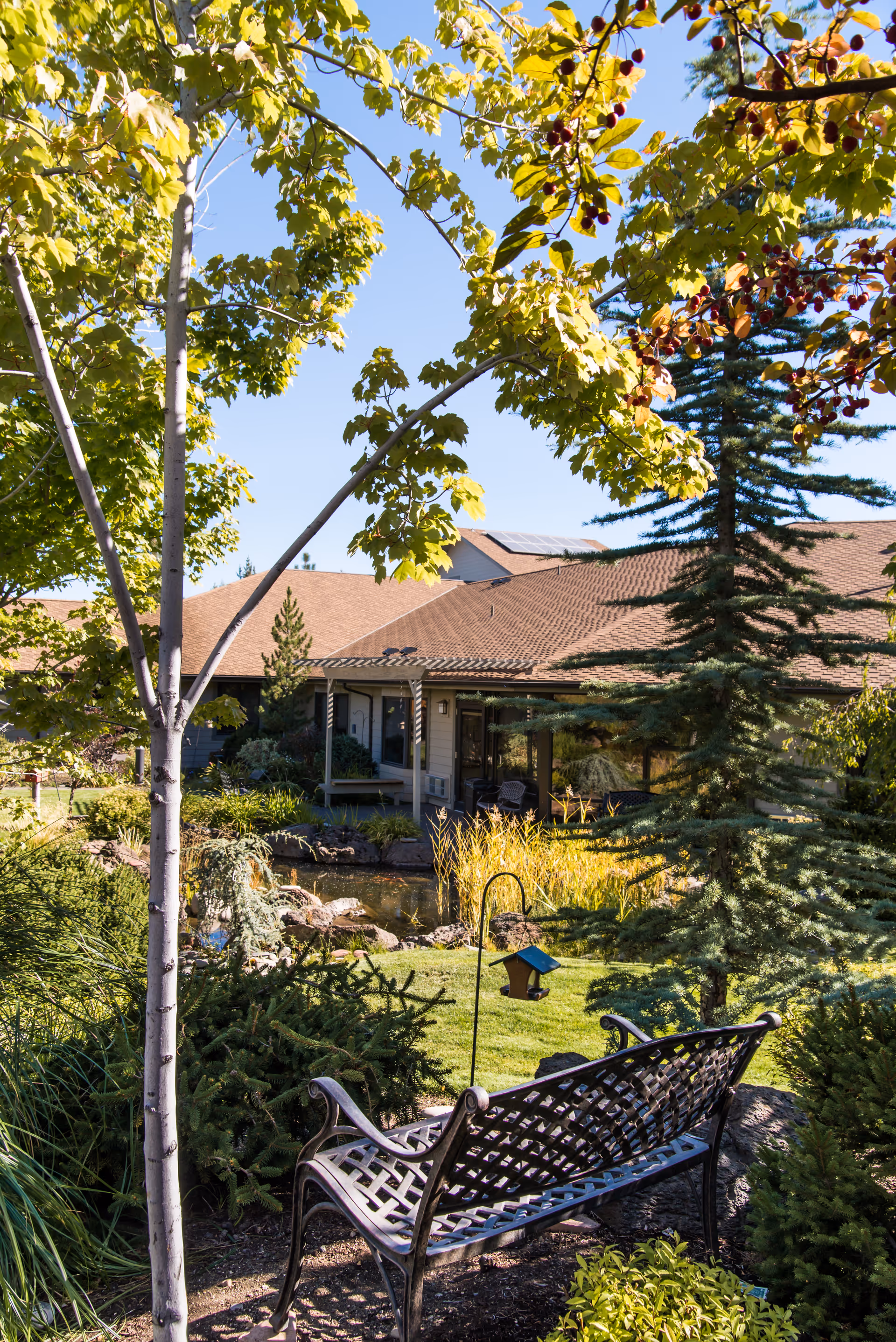 An outdoor garden courtyard with a bench, pond, and trees near a senior living building.