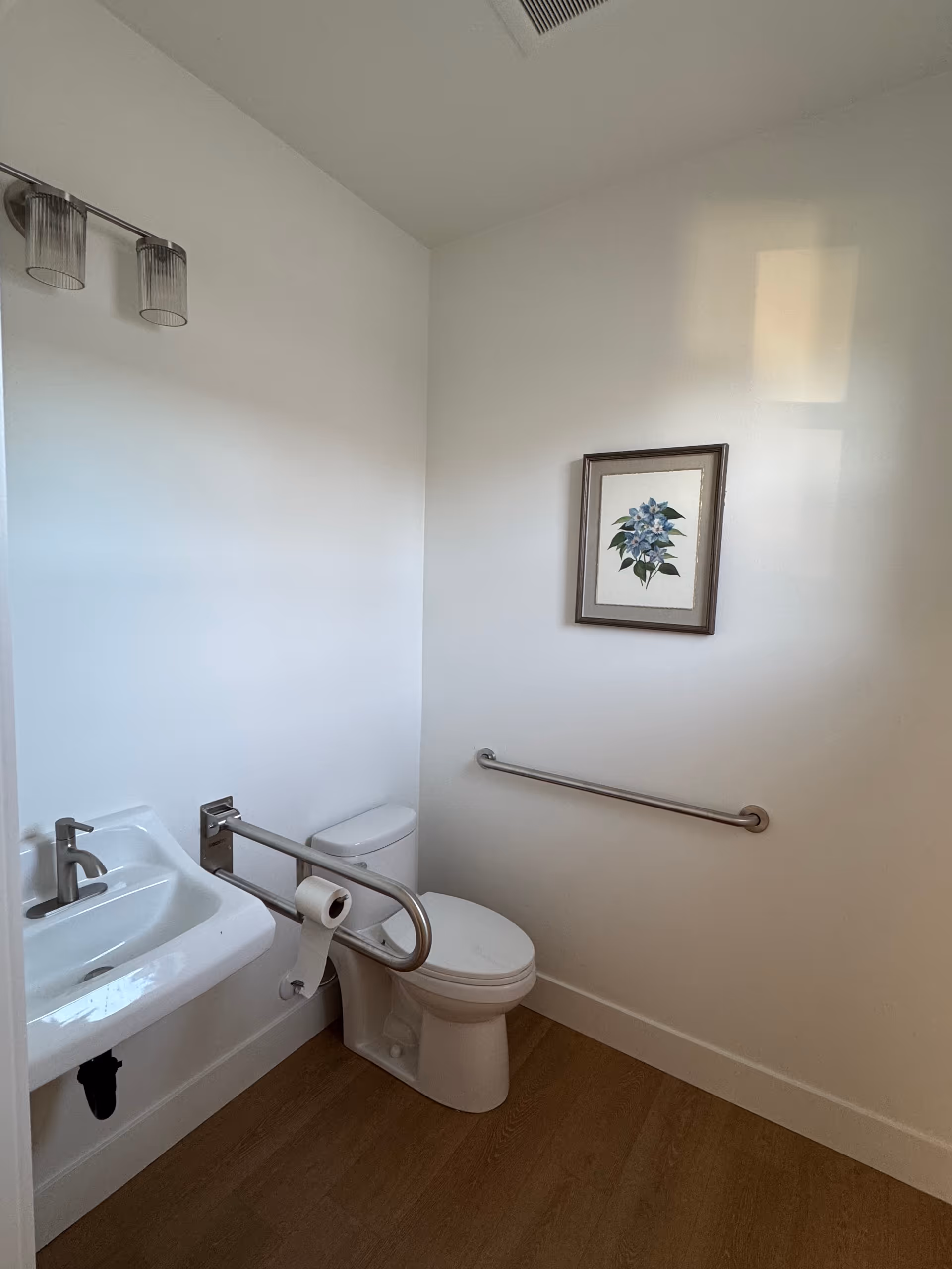 Small accessible bathroom with sink, toilet, stainless grab bars, and framed plant artwork.
