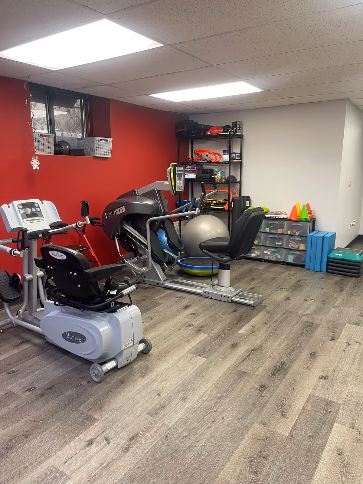 Indoor therapy room with exercise machines and gym equipment.