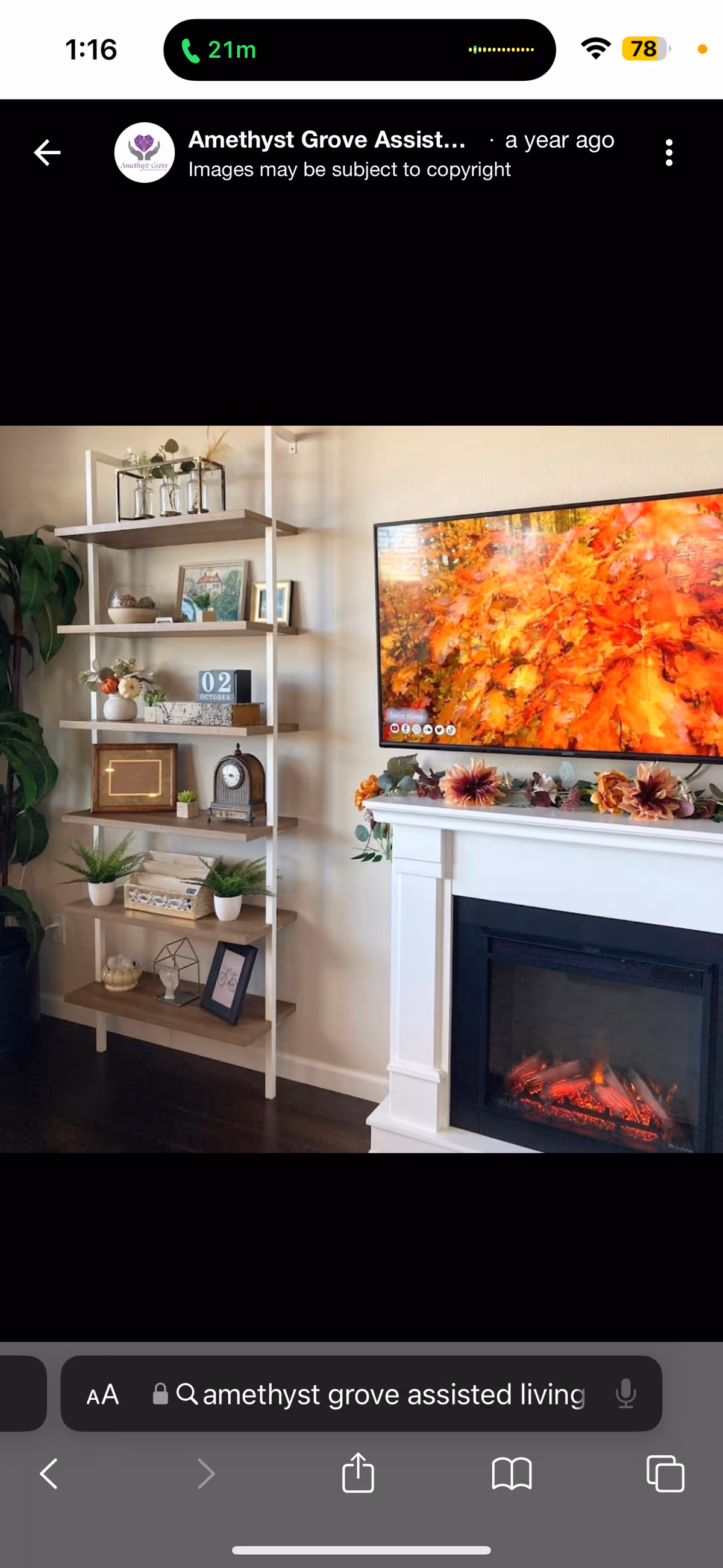 Cozy living room with a white fireplace, TV, and decorative shelf with plants.