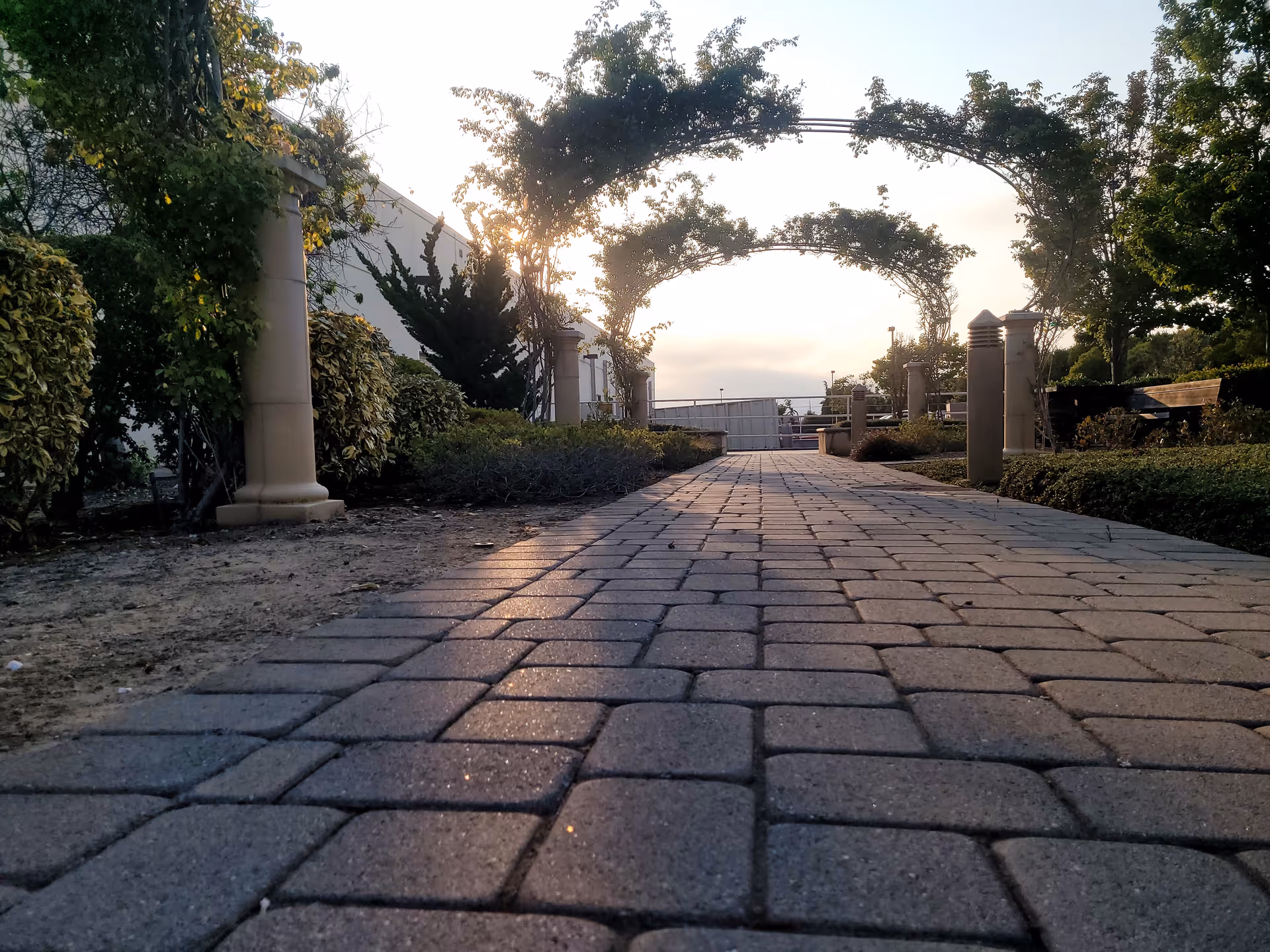 Brick-paved outdoor walkway with arches, greenery, and low hedges at sunset.