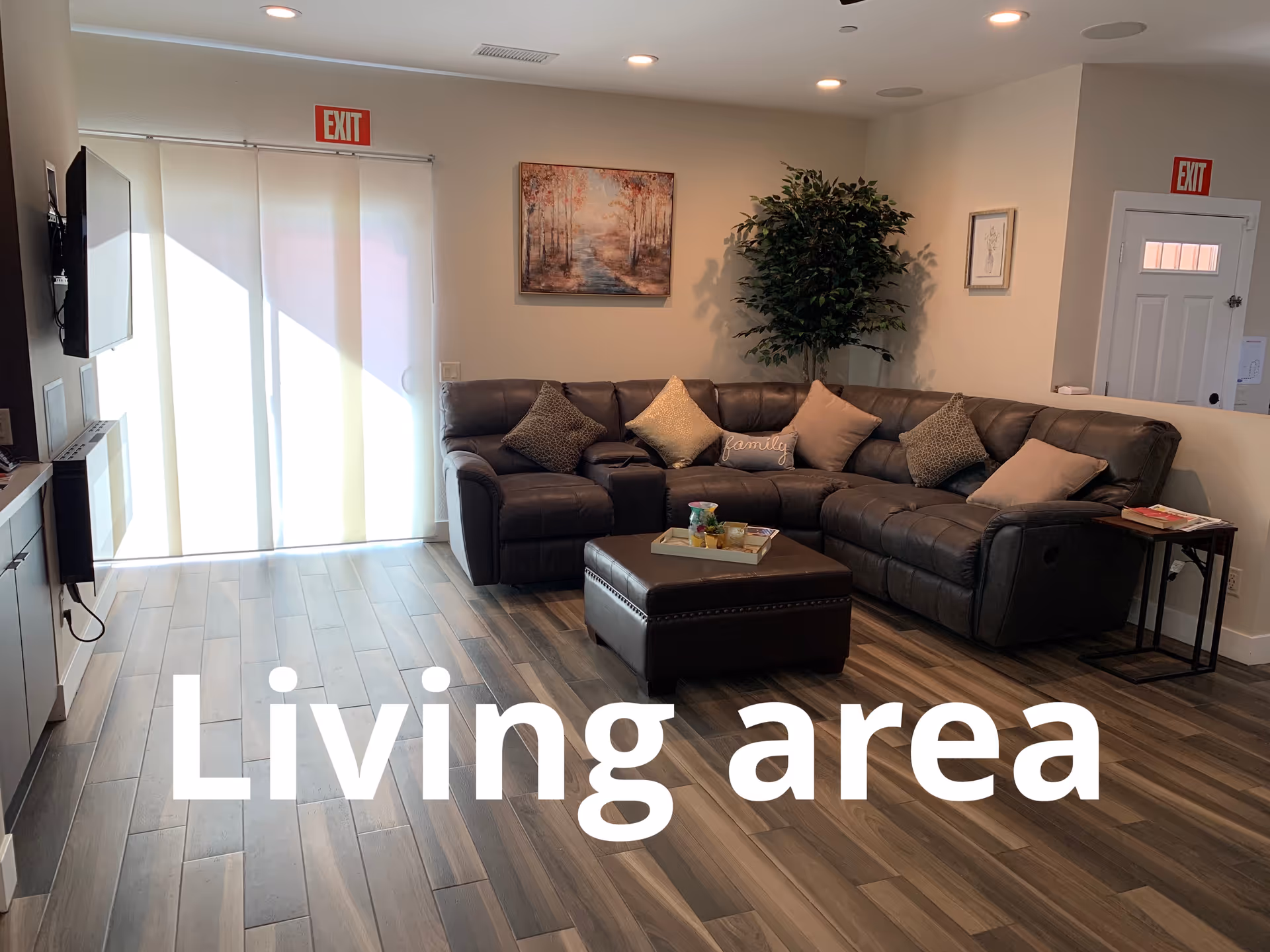 Bright living area with a dark sectional sofa, coffee table, plant, and wall art.