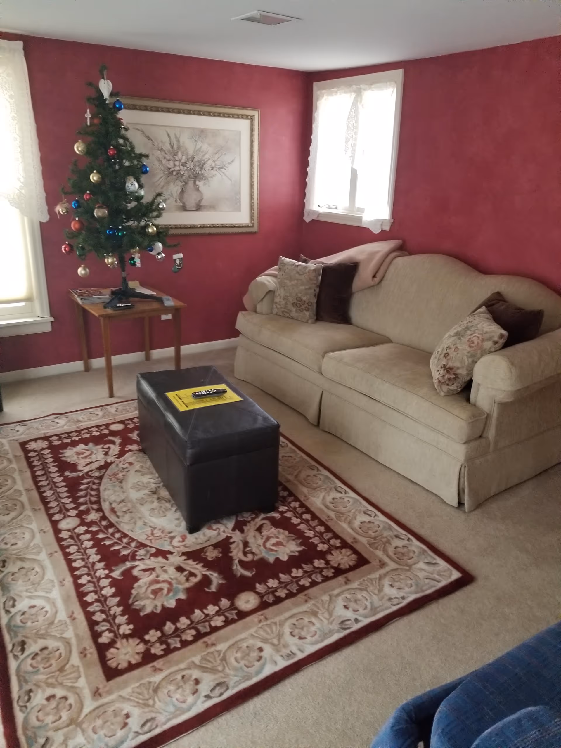 Cozy living room with burgundy walls, a Christmas tree, beige sofa, and patterned rug.