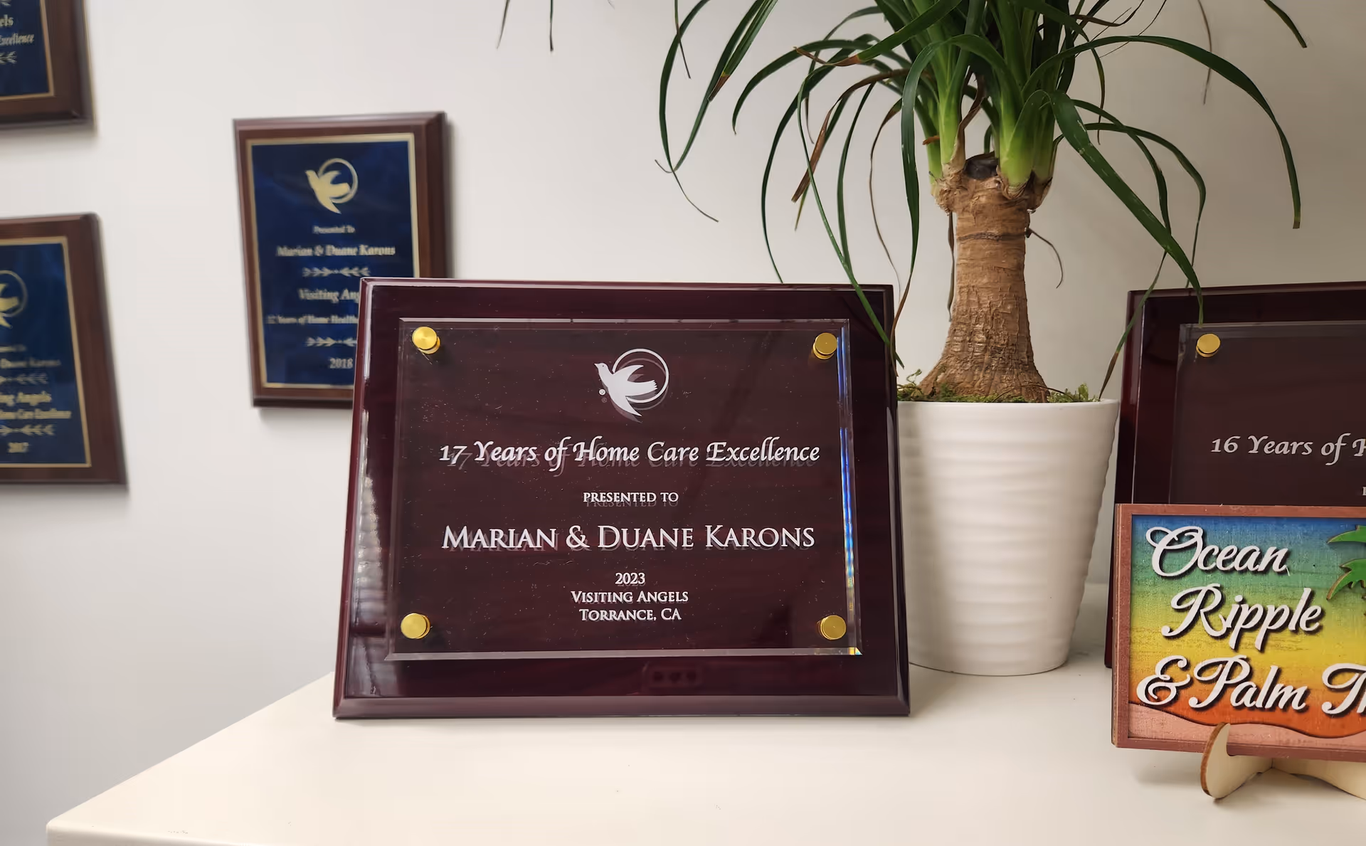 Award plaques from Visiting Angels arranged on a table beside a tall potted plant.