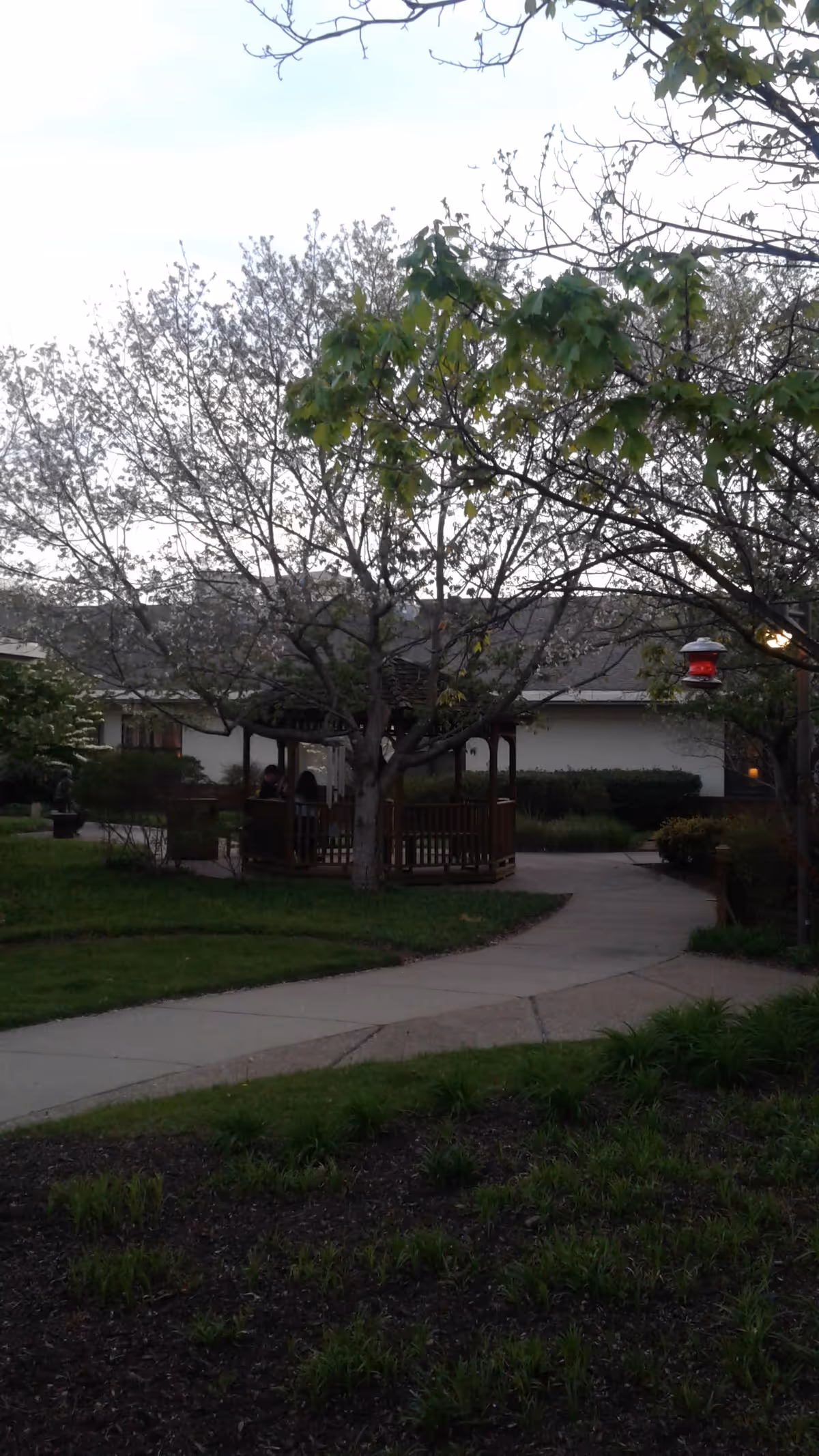 Outdoor garden area with a gazebo, walkway, trees, and a building in the background.