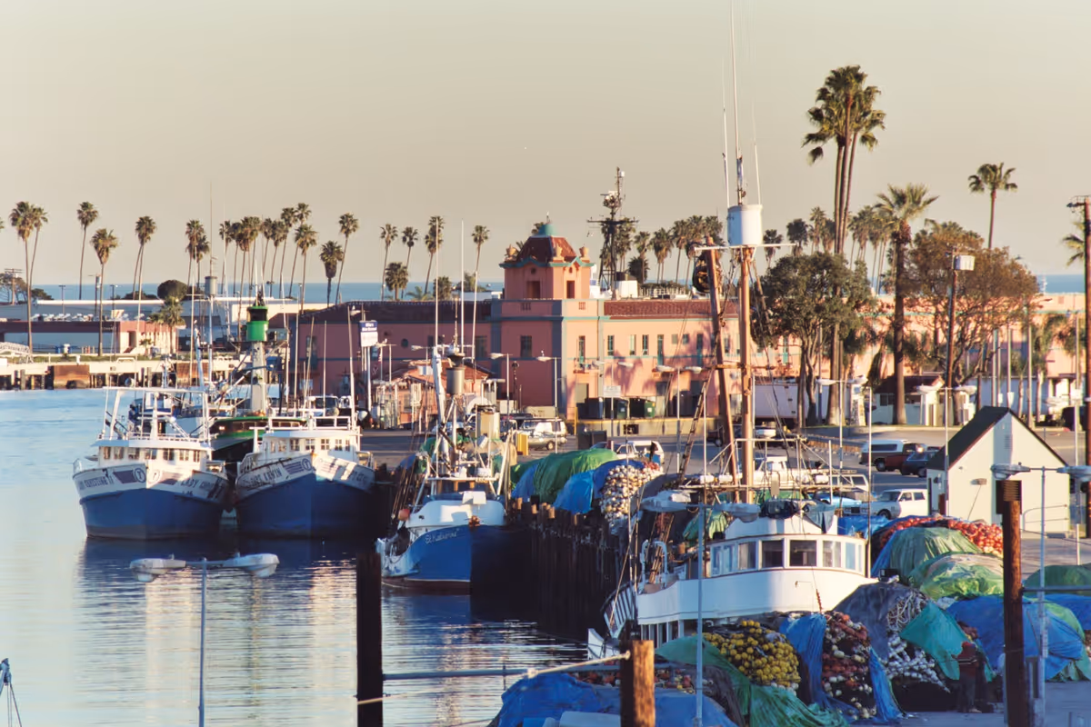 Calm harbor with docked boats, palm trees, and pastel waterfront buildings.