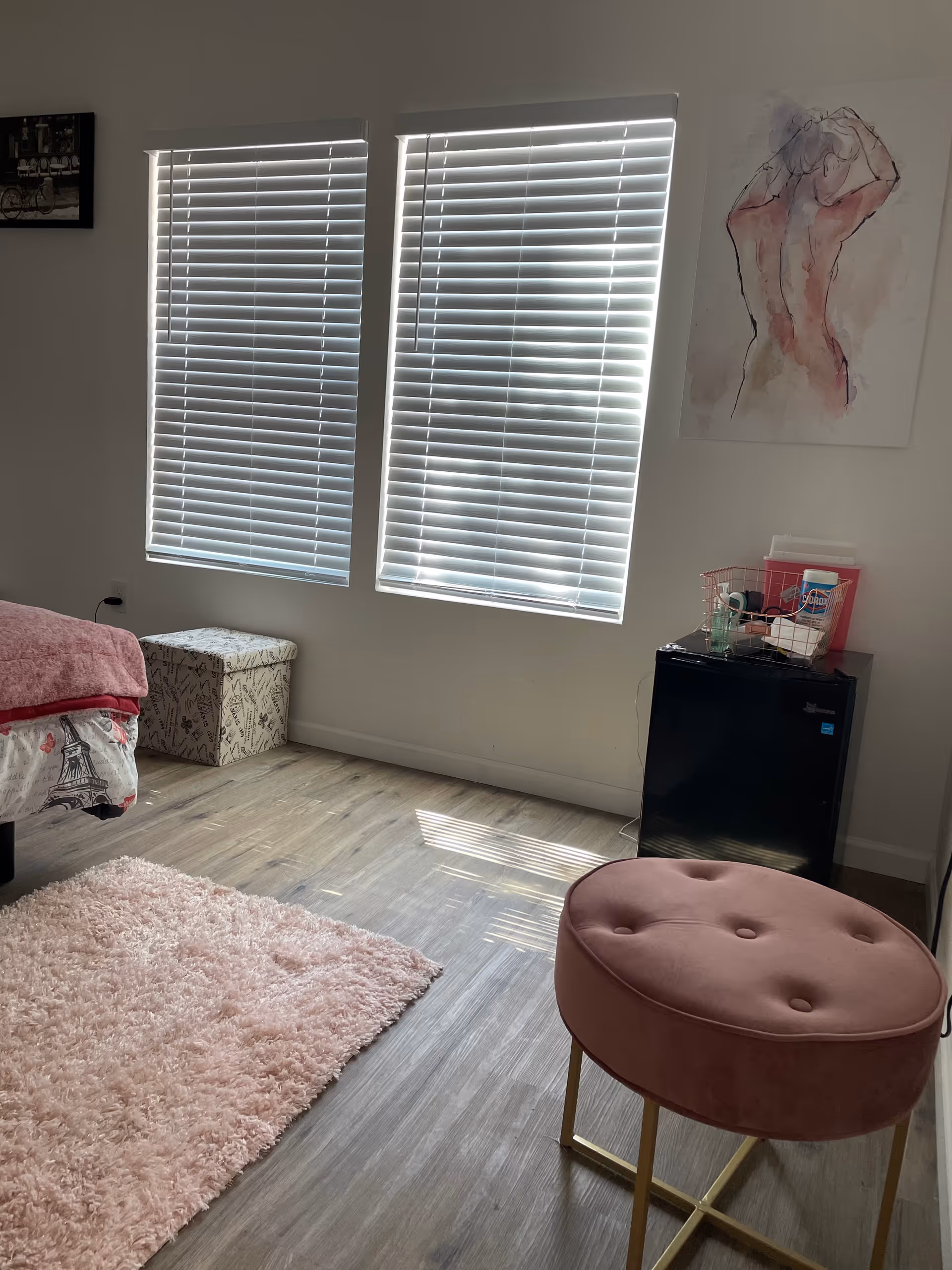 A pink-themed bedroom with two blinds, a fluffy rug, and a small black fridge.
