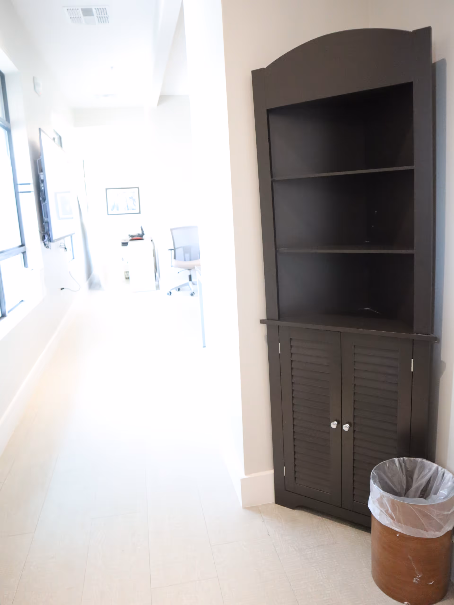 A dark shelving cabinet stands in a bright hallway with a trash can.