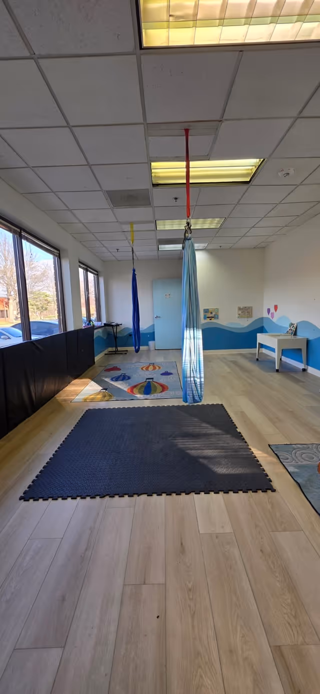 Indoor therapy playroom with hanging fabric swings, foam mats, and colorful wall art.