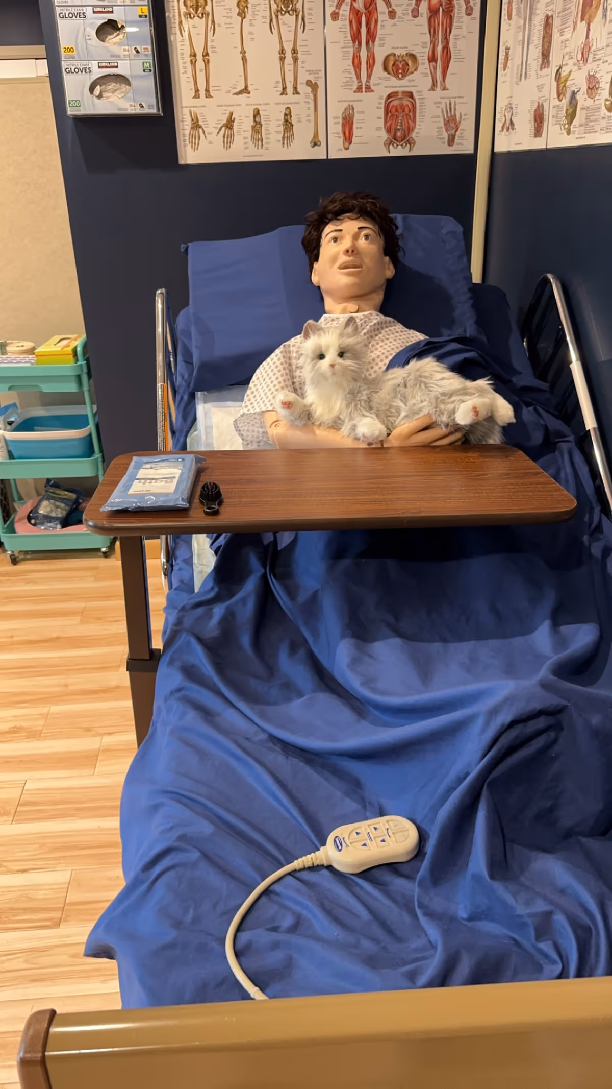 Medical training mannequin in a hospital bed with a cat in a clinical room.