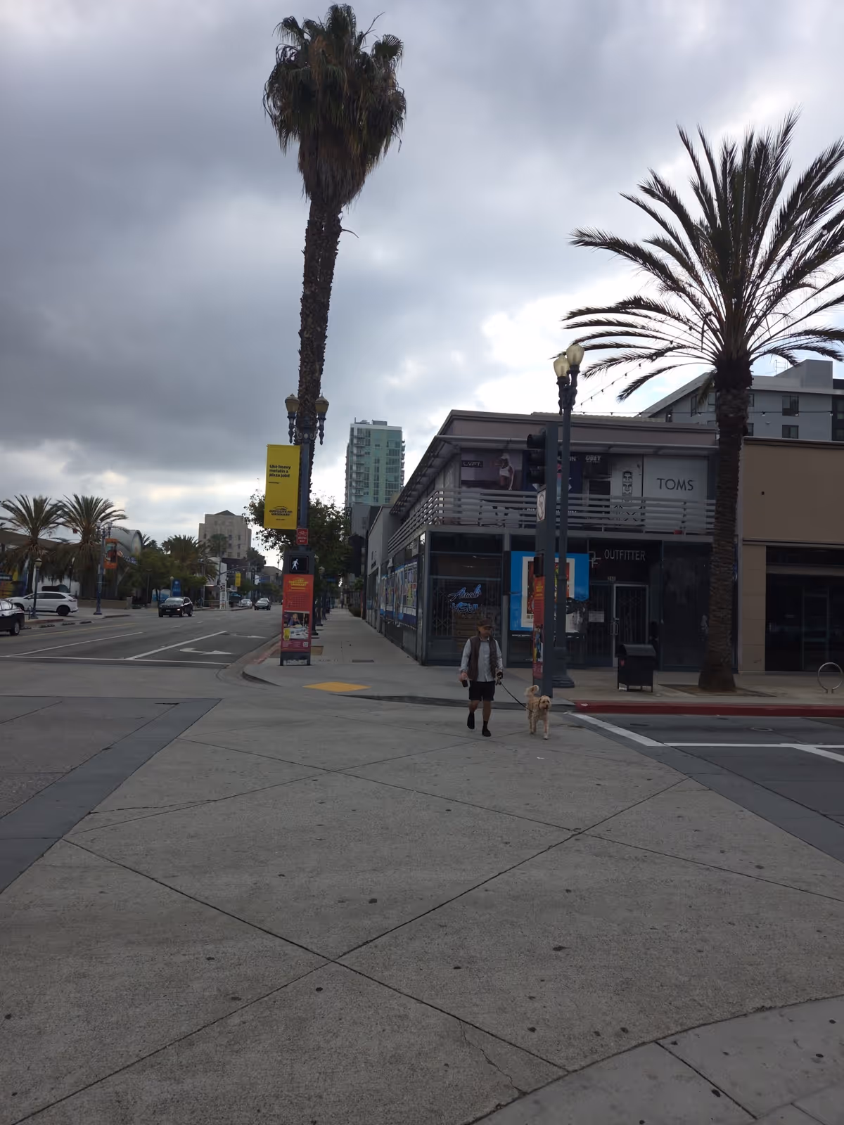 Urban sidewalk scene with palm trees, storefronts, and a person walking a dog.