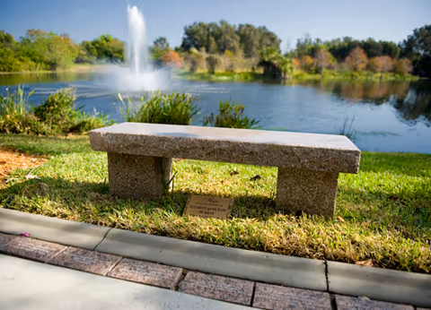 Stone bench by a lake with a fountain and greenery in a park.