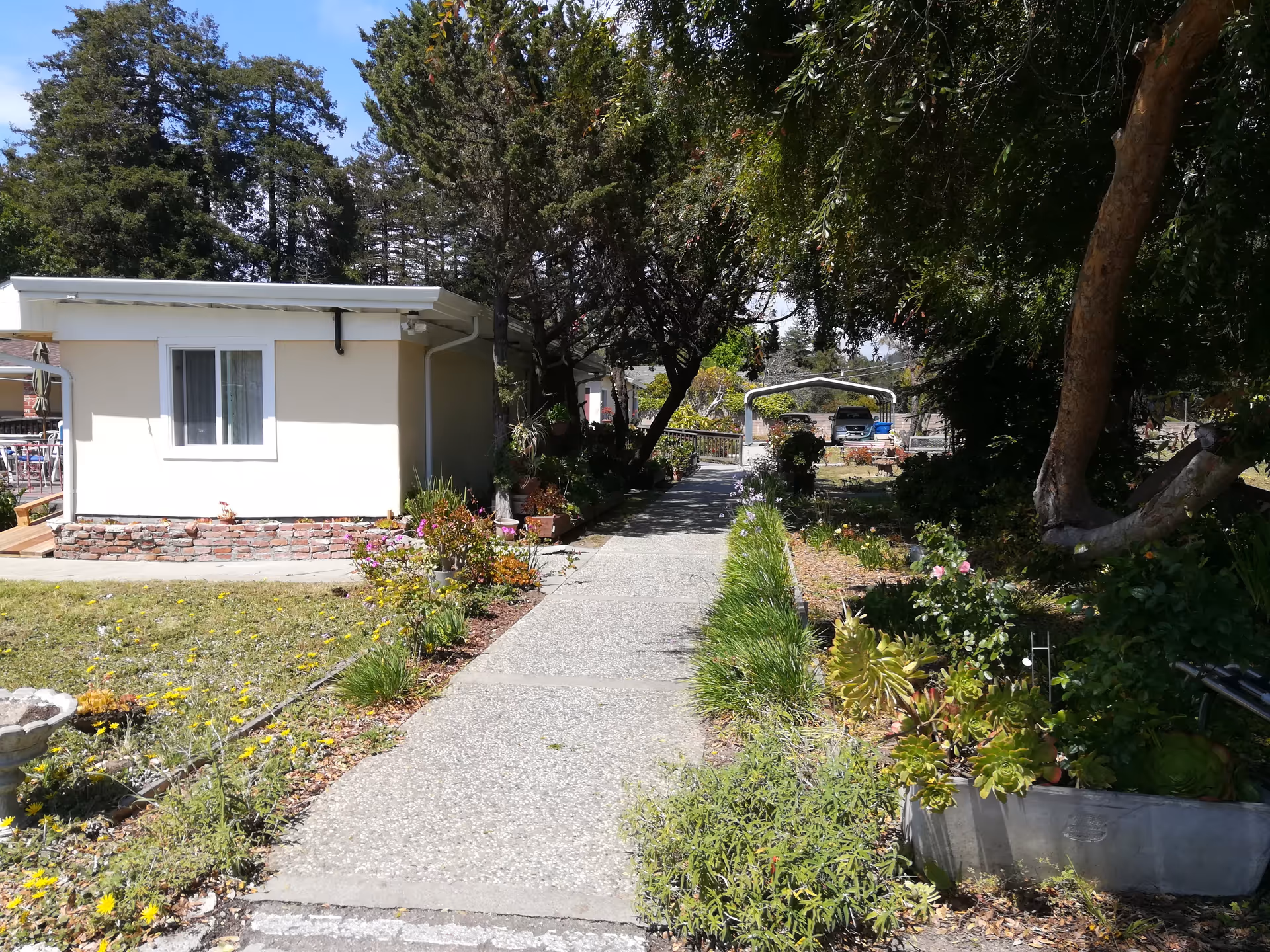 Curved concrete walkway through a sunny garden toward a small beige building.