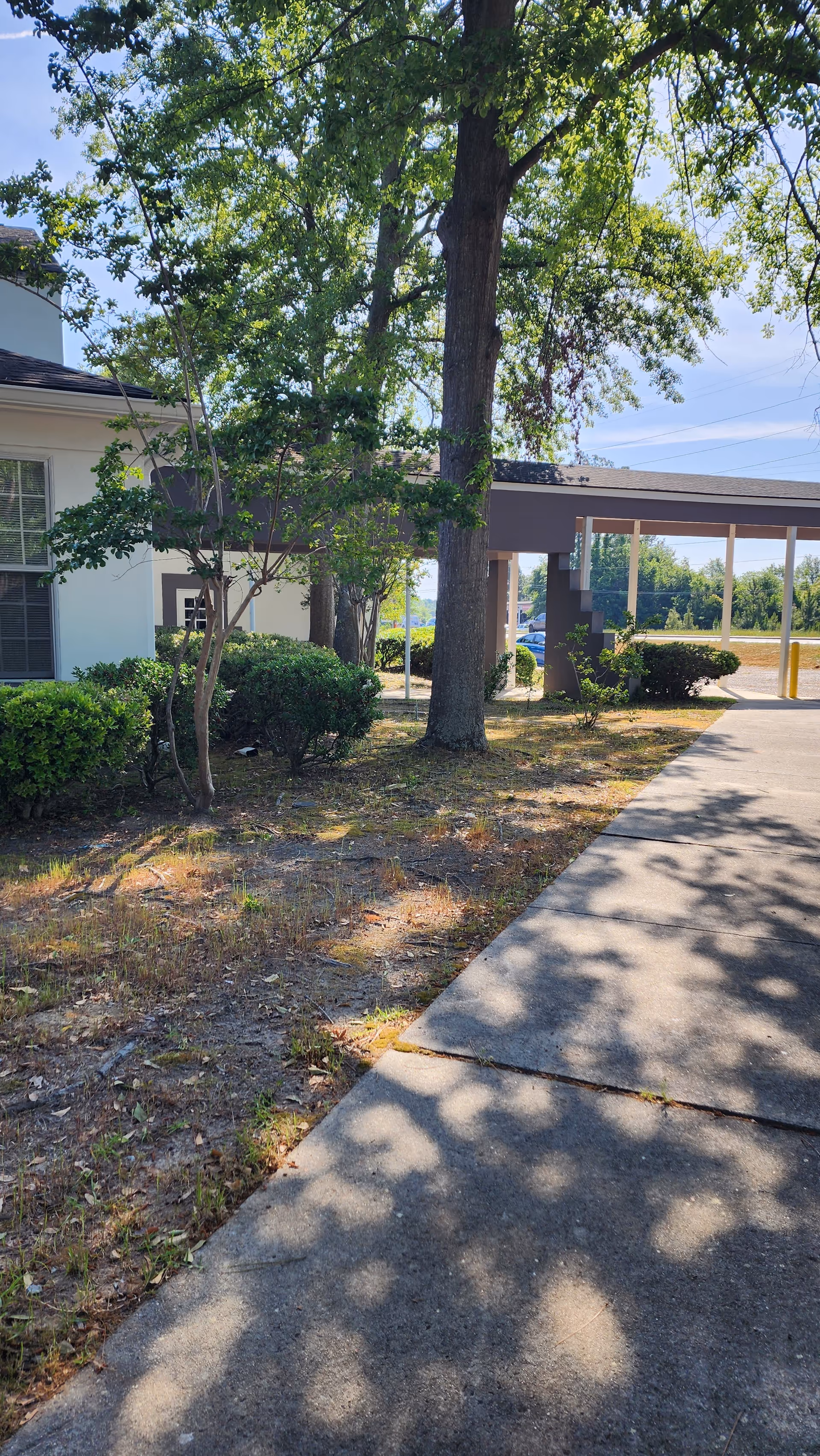 Exterior view of a senior living facility with a walkway and trees.