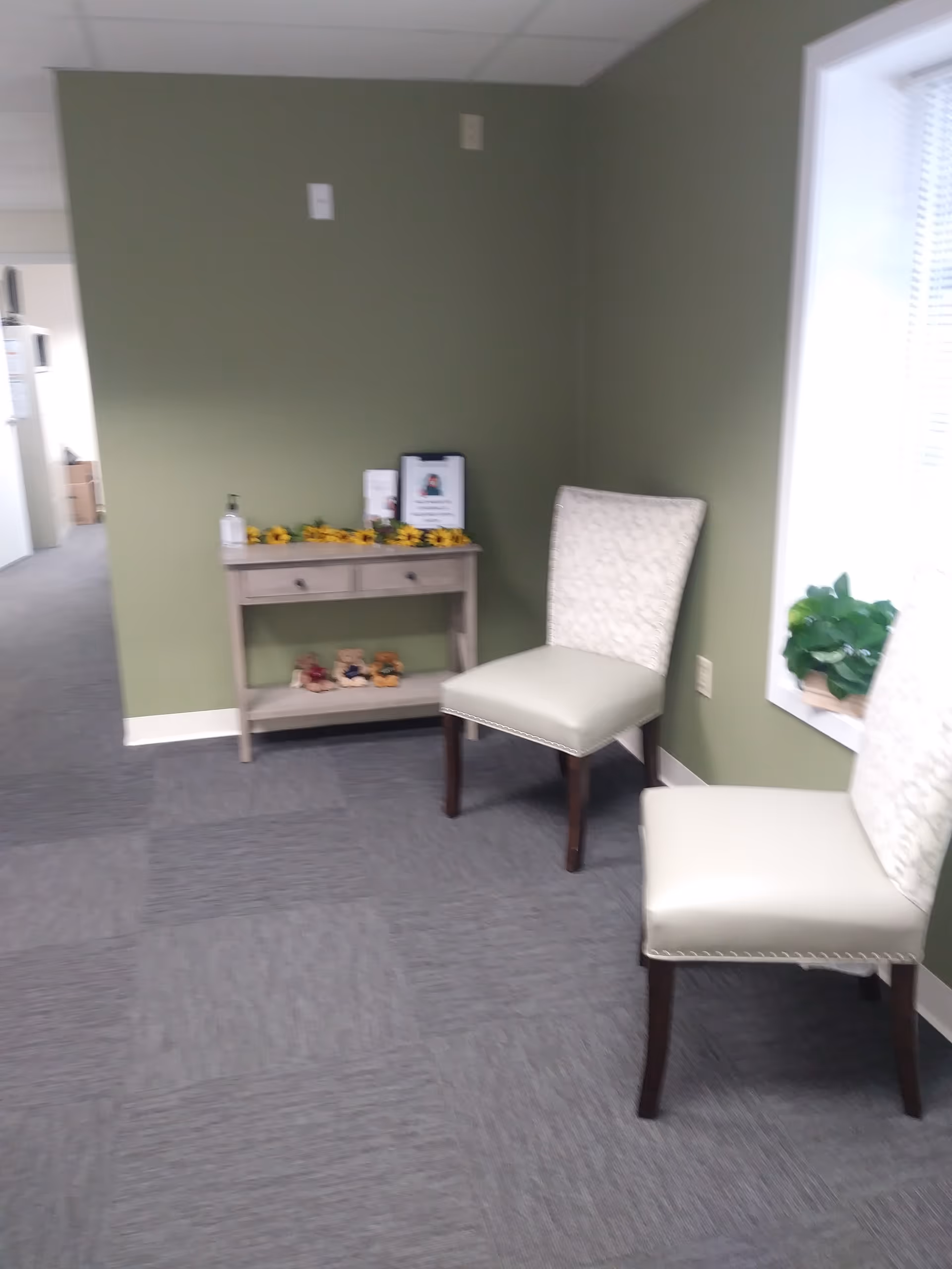 Two beige upholstered chairs by a green wall with a console table and plant.