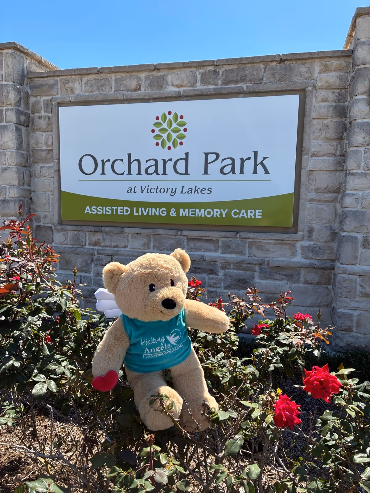 A teddy bear in a teal Visiting Angels shirt sits among roses before Orchard Park sign.