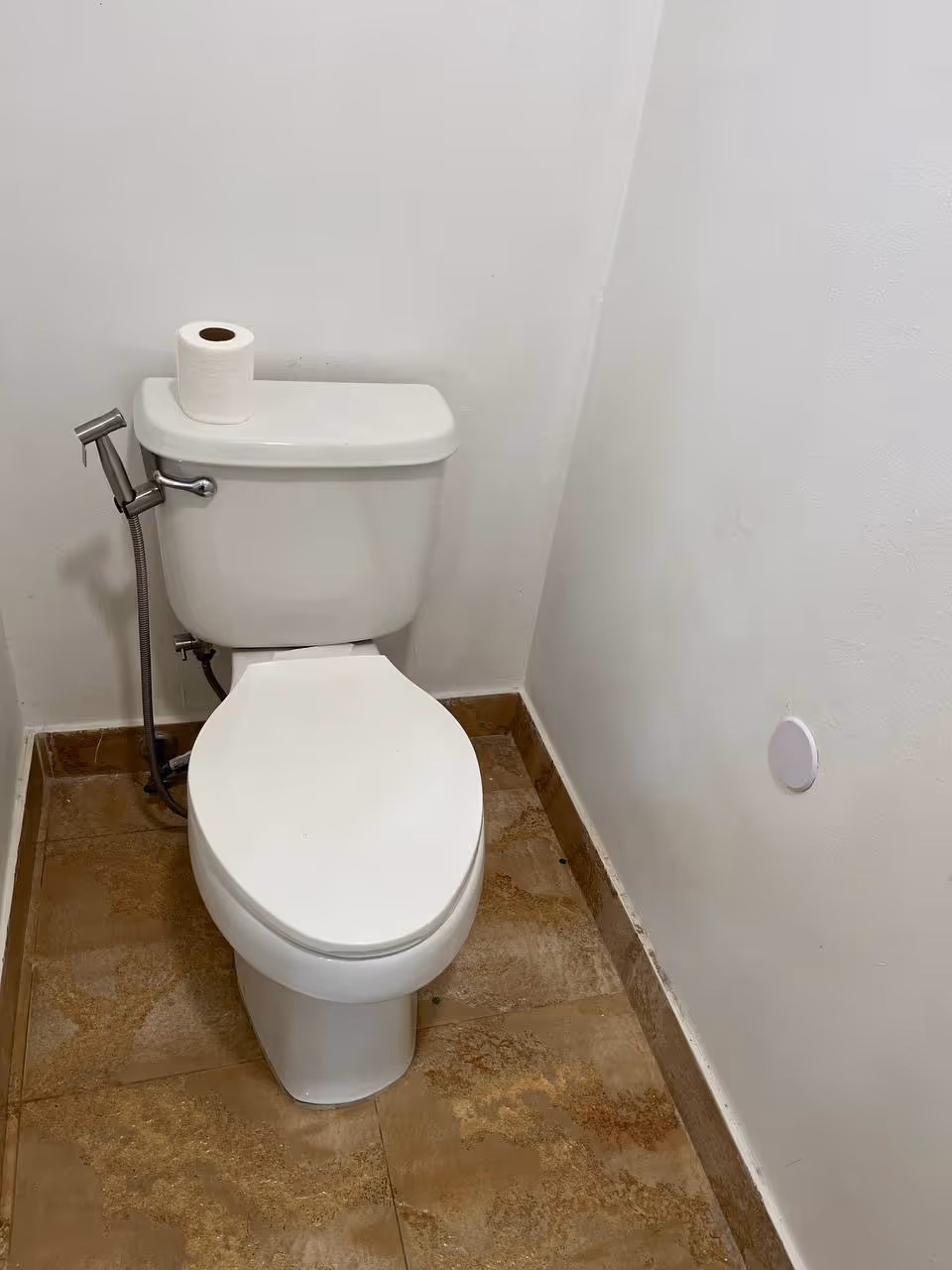 White toilet with paper roll and handheld bidet spray in a small bathroom.