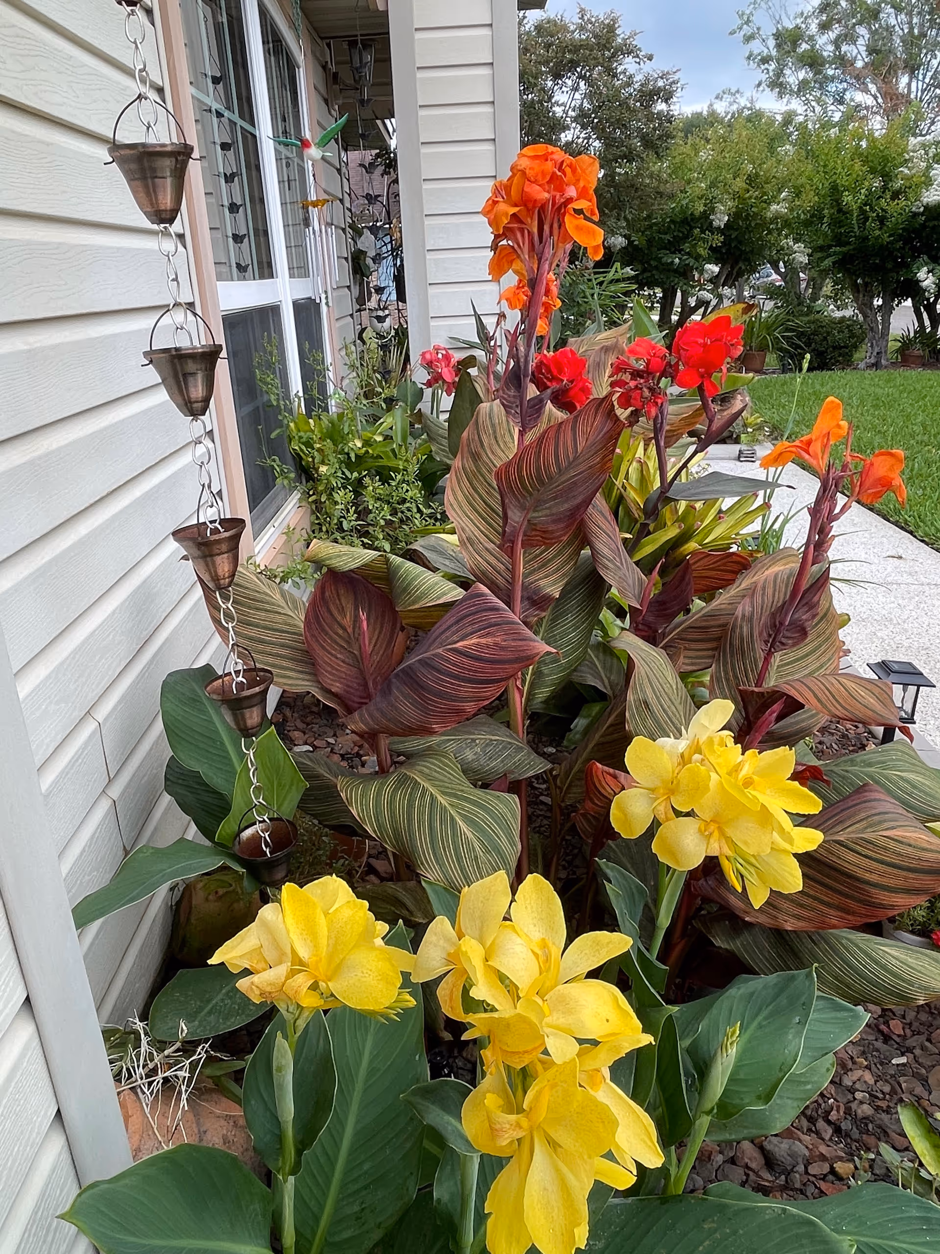 Colorful tropical flowers and greenery along the exterior of a home beside a walkway.