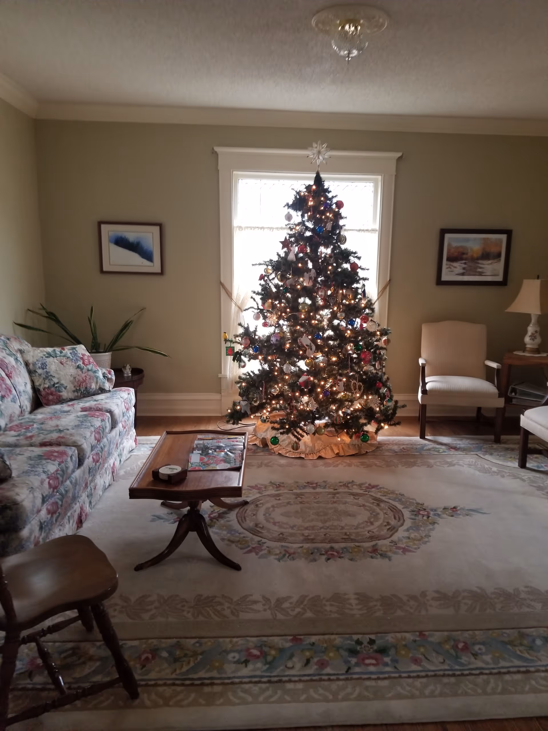 Cozy living room with a decorated Christmas tree and seating around a coffee table.