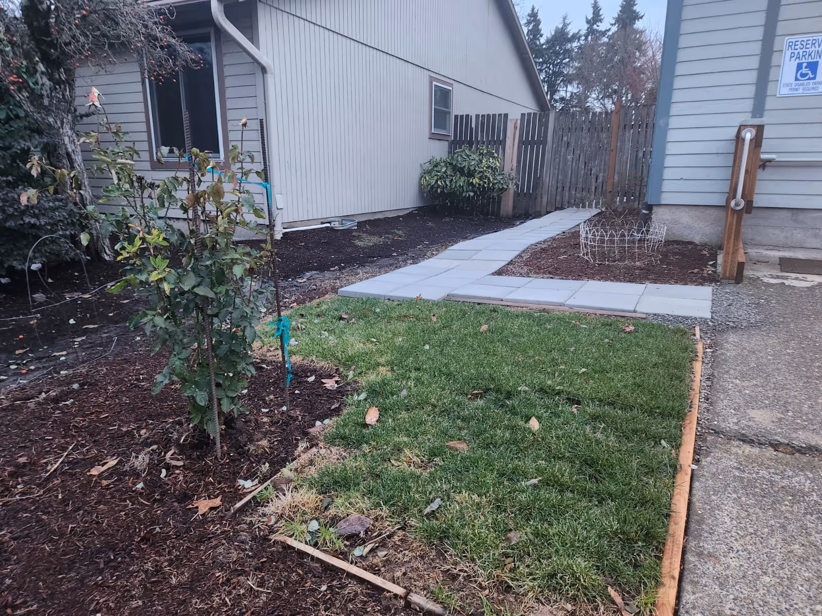 Exterior view of a walkway and small lawn leading to the facility entrance.