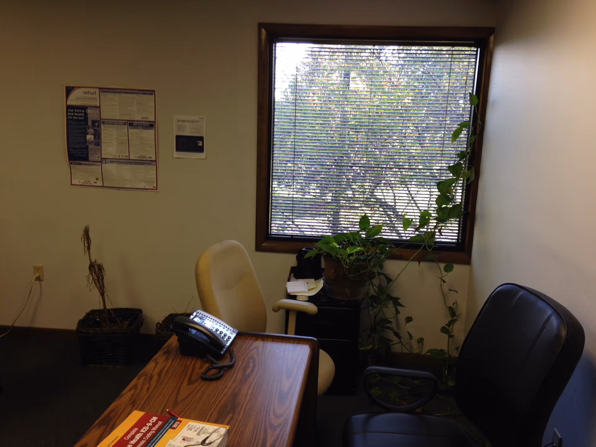 Office-like reception area featuring a desk, phone, chairs, window, and plants.