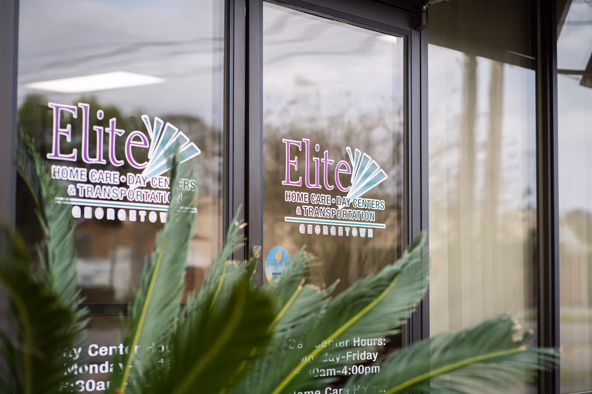 Glass entrance doors show Elite Home Care branding with plants partially obscuring the view.