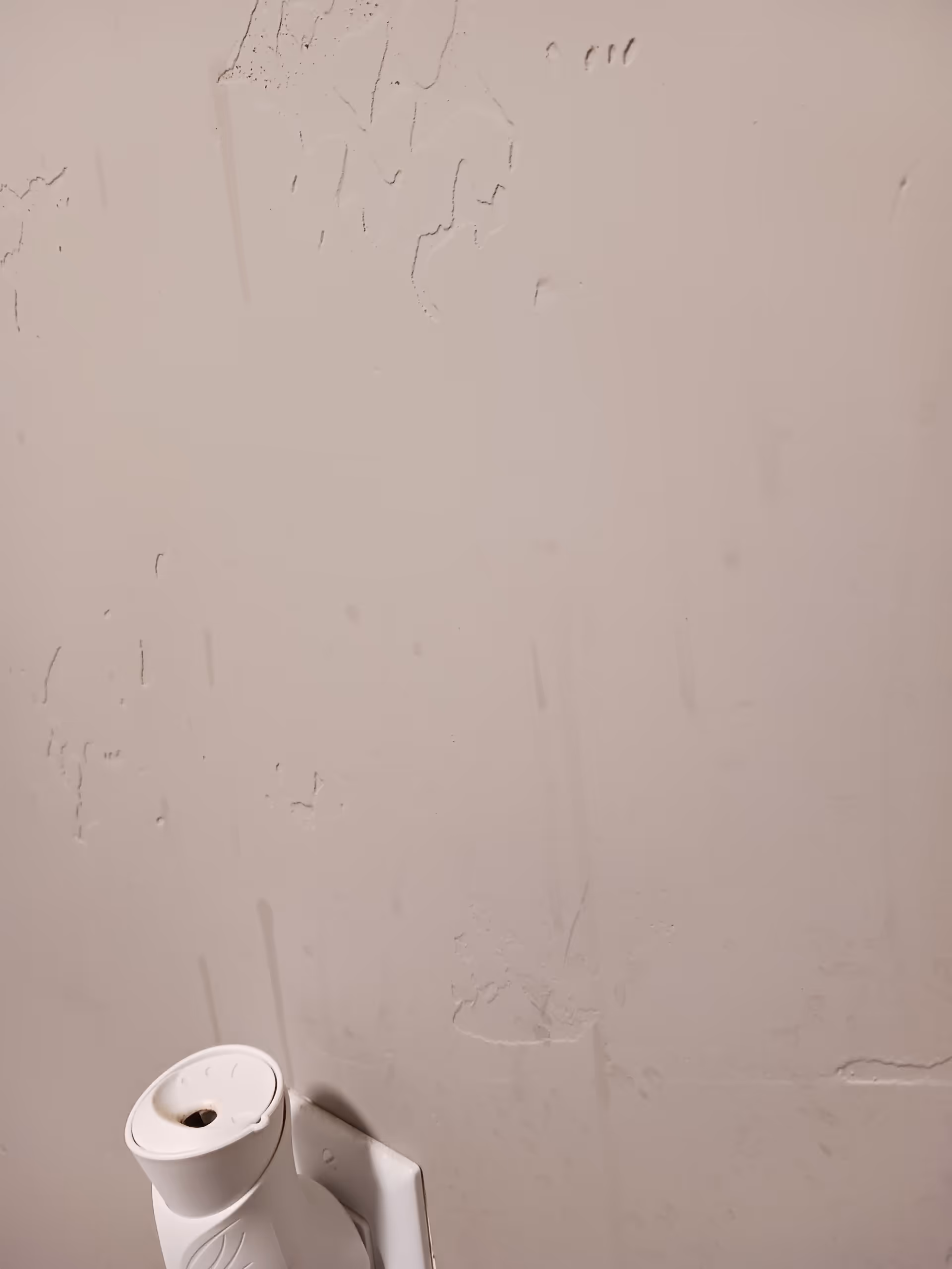 Peeling beige wall with a white toilet paper holder attached near the floor.