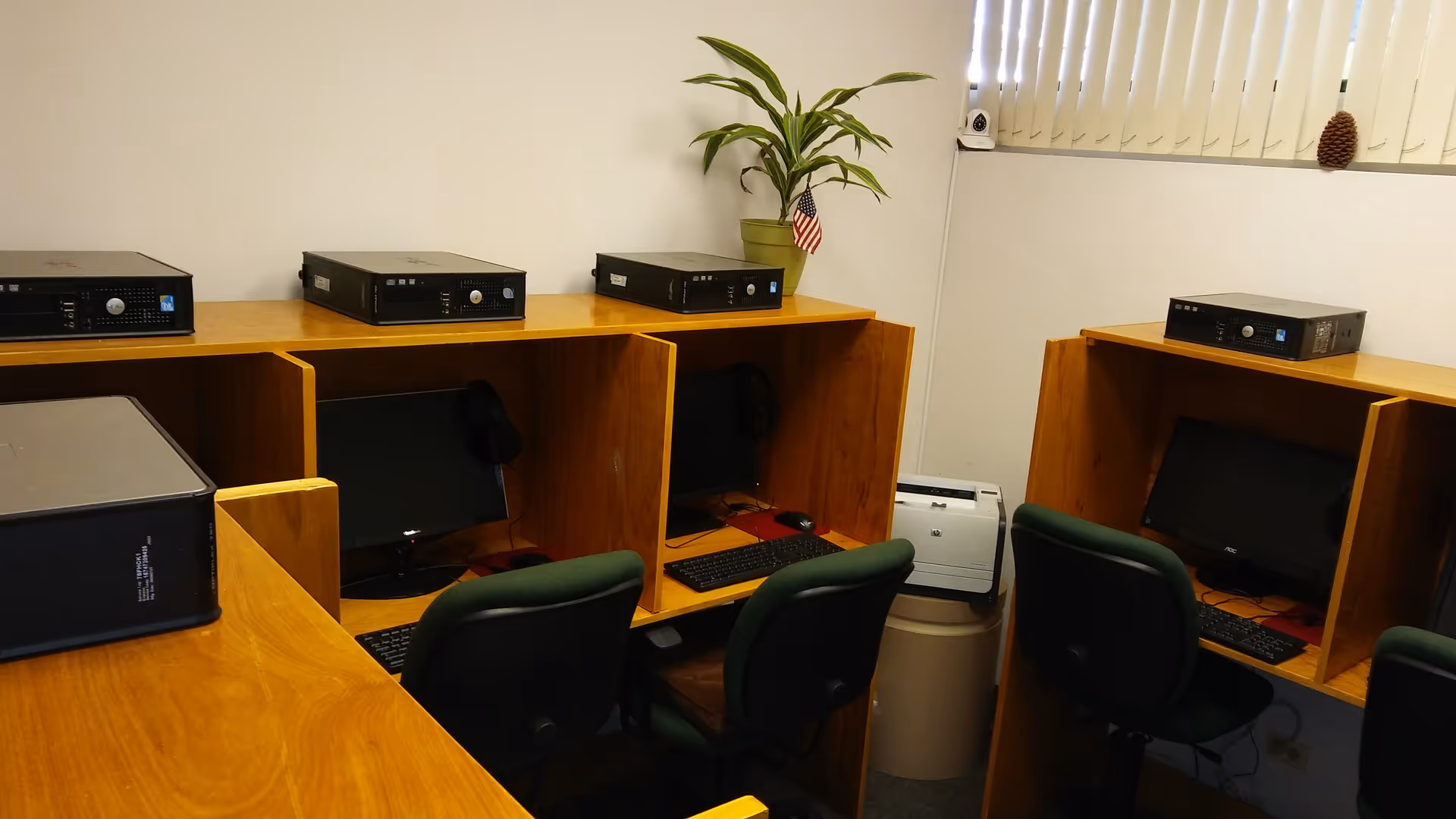 Row of computer workstations in a small interior office with green chairs and plants.