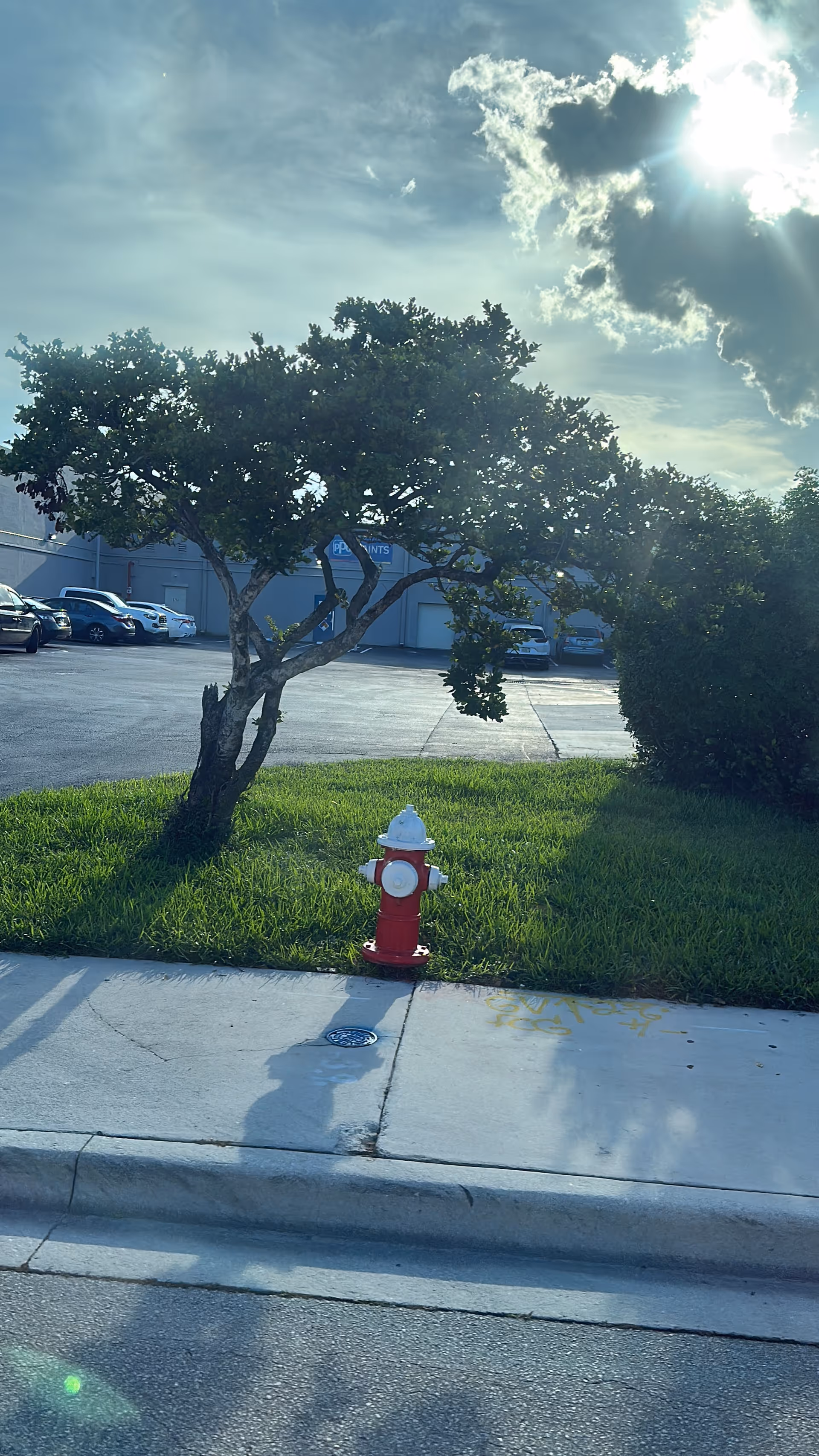 Outside Versalles Home Health Medical facility: sidewalk, grassy patch, tree, and red fire hydrant.
