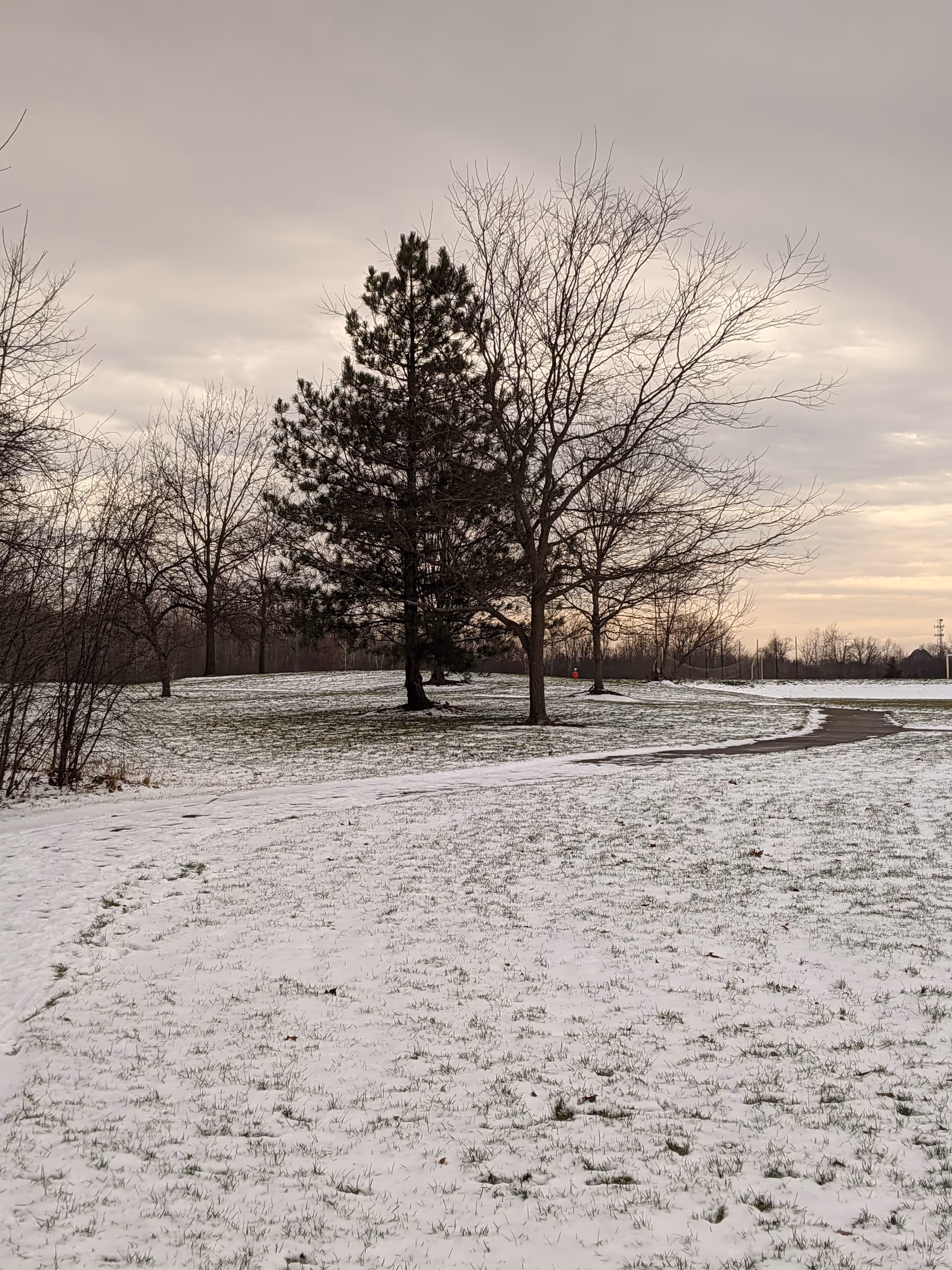 Snow covers a park-like landscape with bare trees and a winding path.