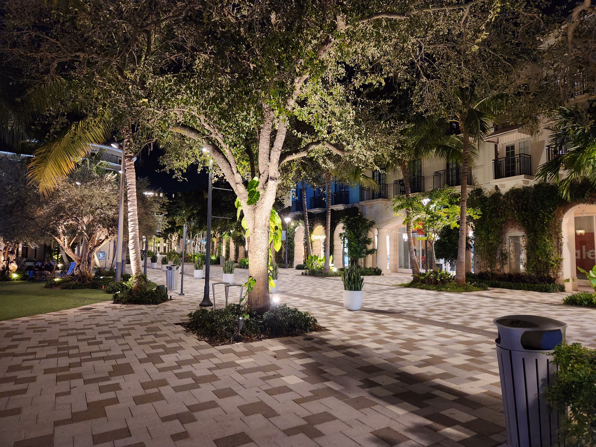 Nighttime view of a lit outdoor courtyard with trees and tiled walkways.