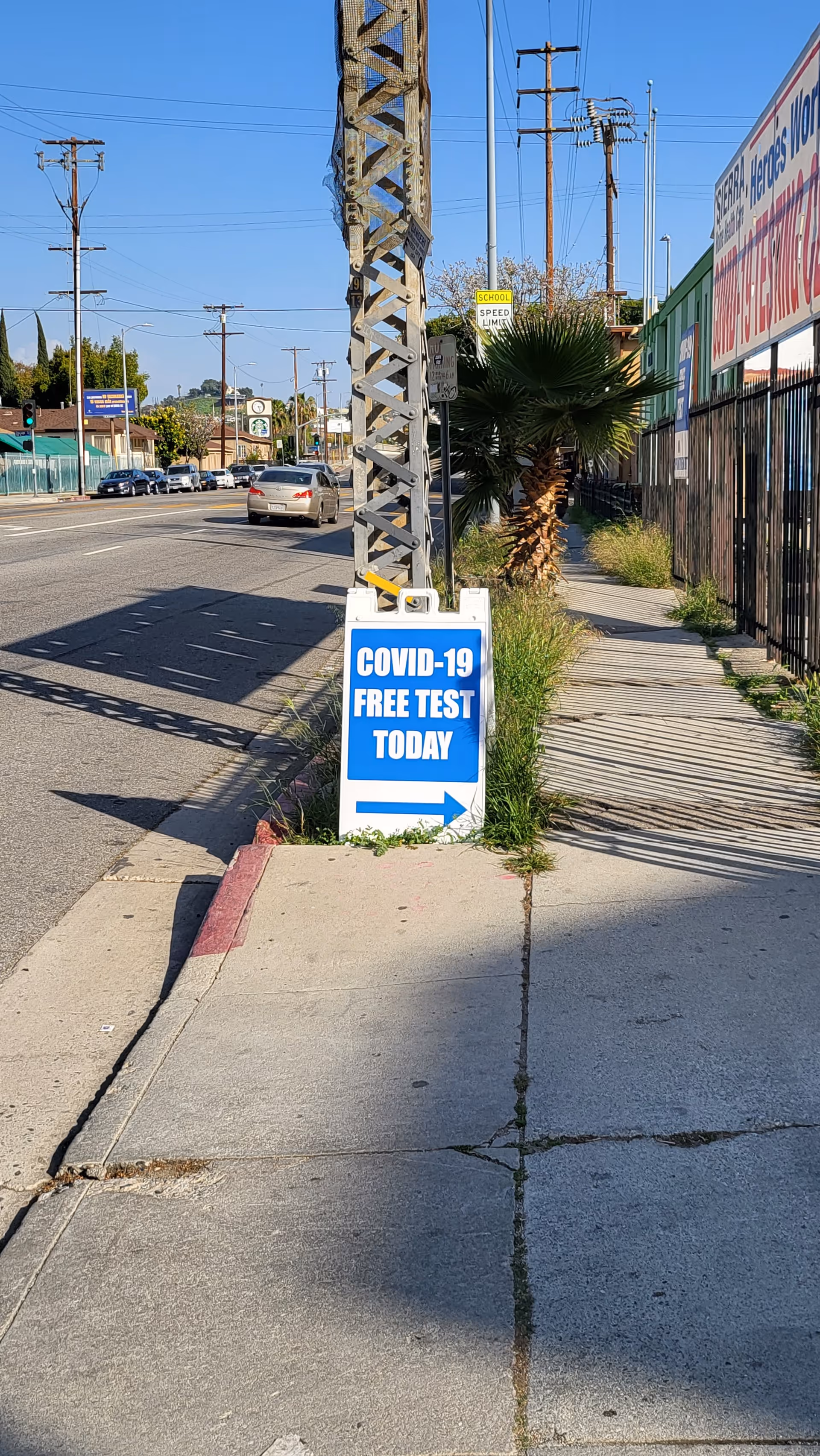 Street view with sidewalk, utility pole, palm tree, and blue COVID-19 free test sign.