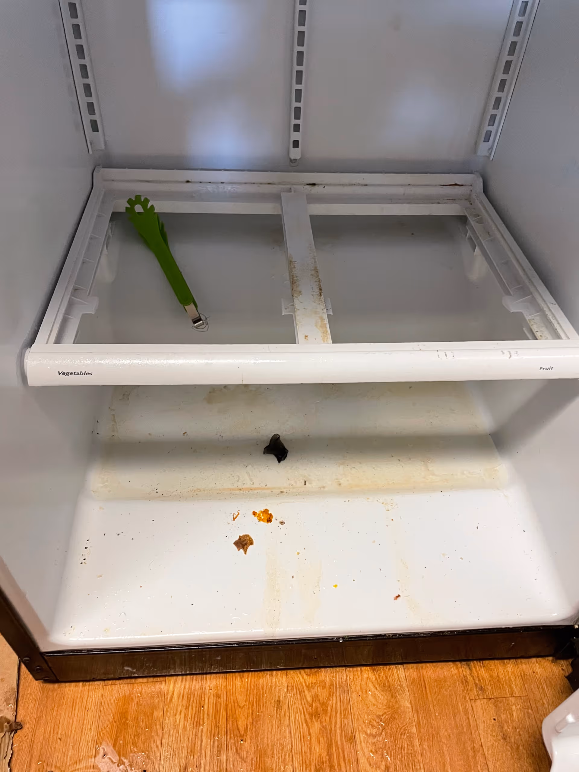 Open refrigerator with a green utensil, rust marks, and stains on the bottom shelf