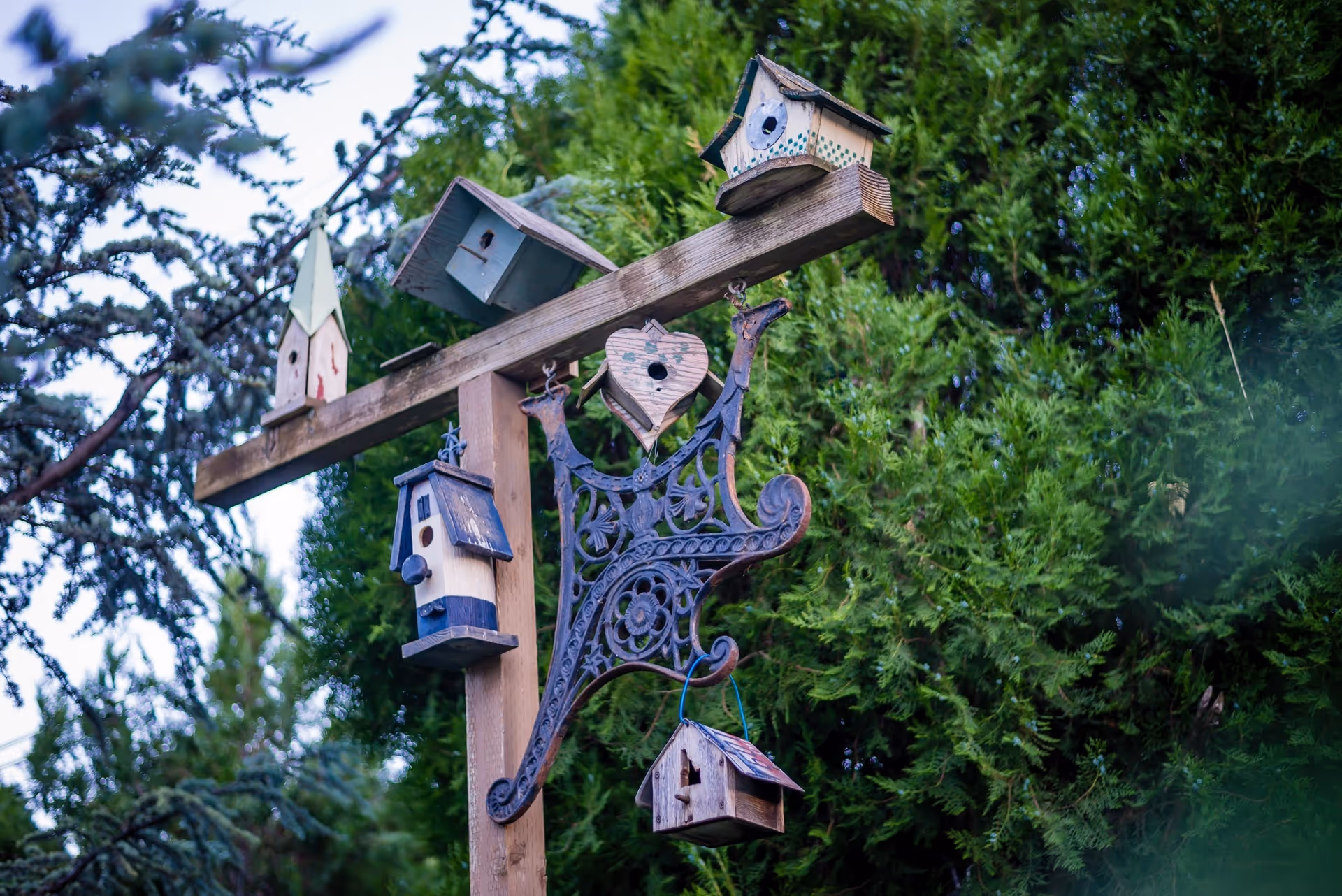 Wooden post with multiple birdhouses and a decorative wrought-iron ornament amid greenery.